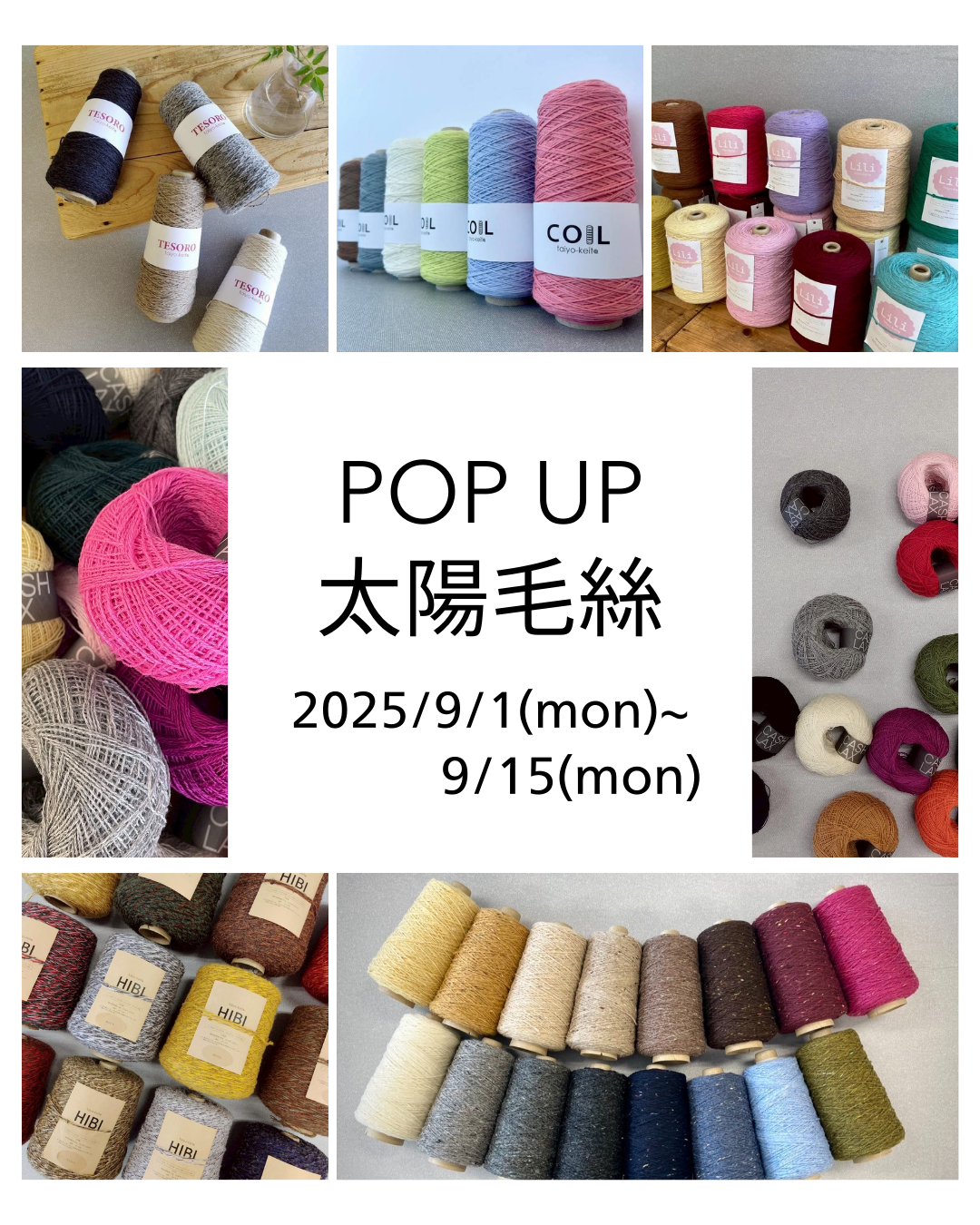 【🎪POP UP🎪】 太陽毛絲POP UP!