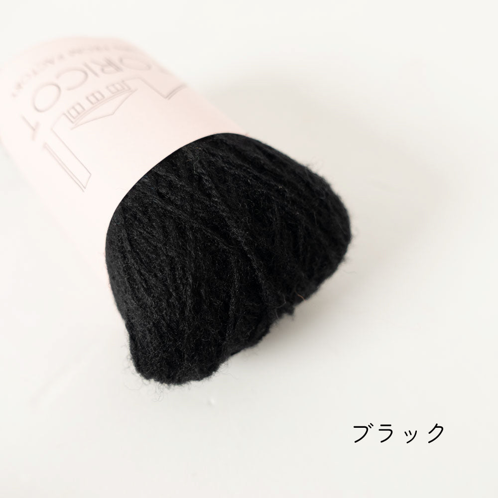 【10g小巻】2/20 bon bon merino(ボンボン・メリノ)
