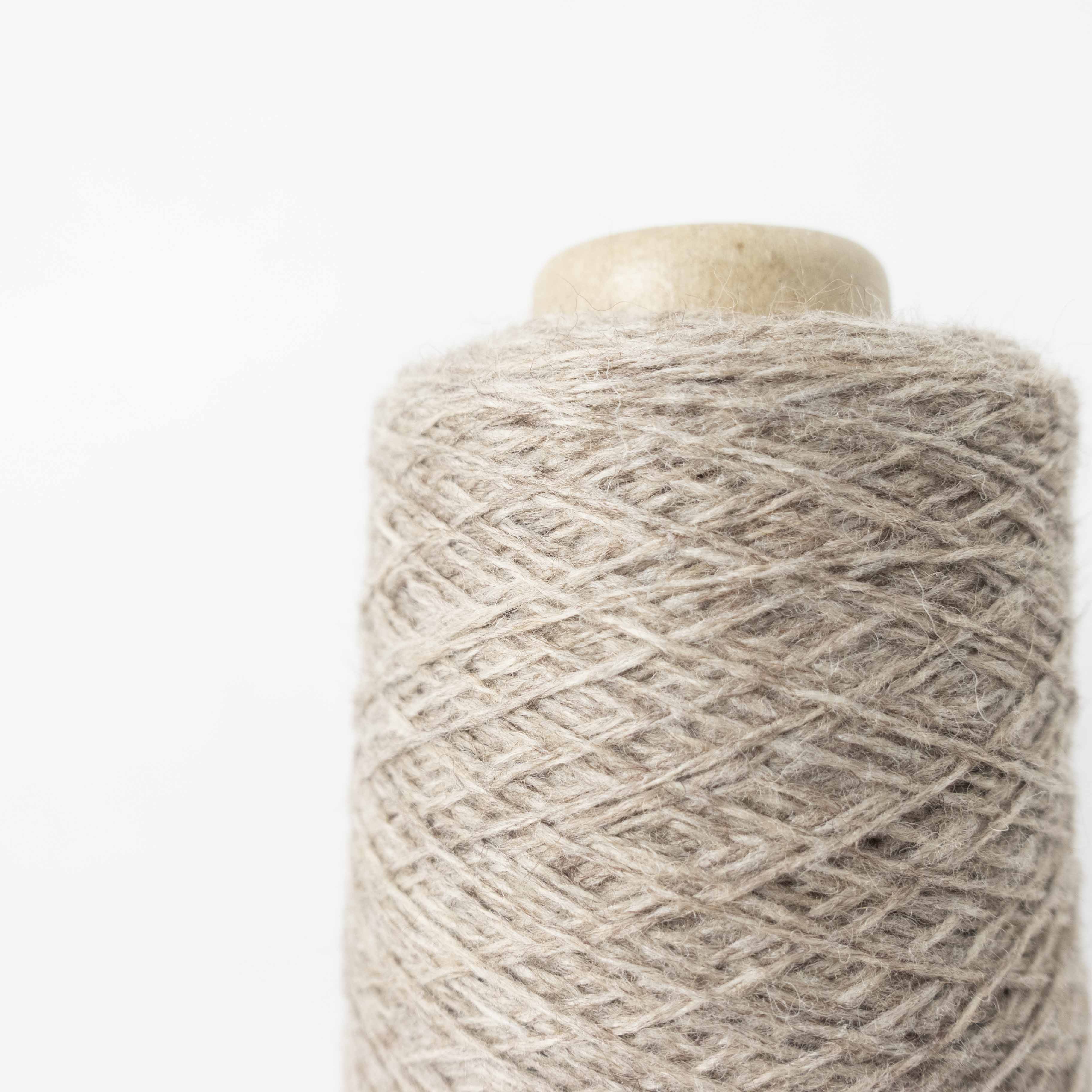 2/20 ラクーンウール