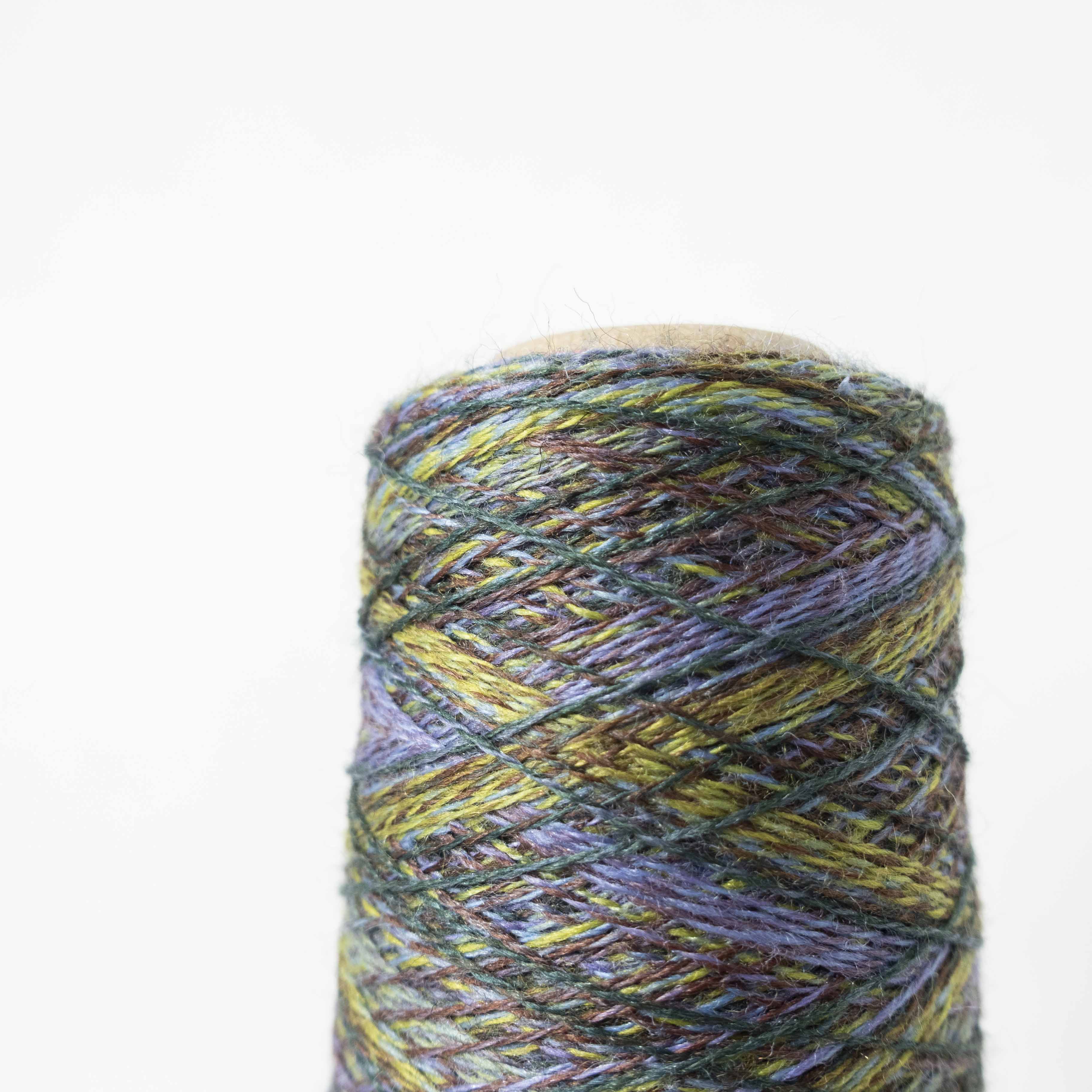 2/48 ネオンテトラ