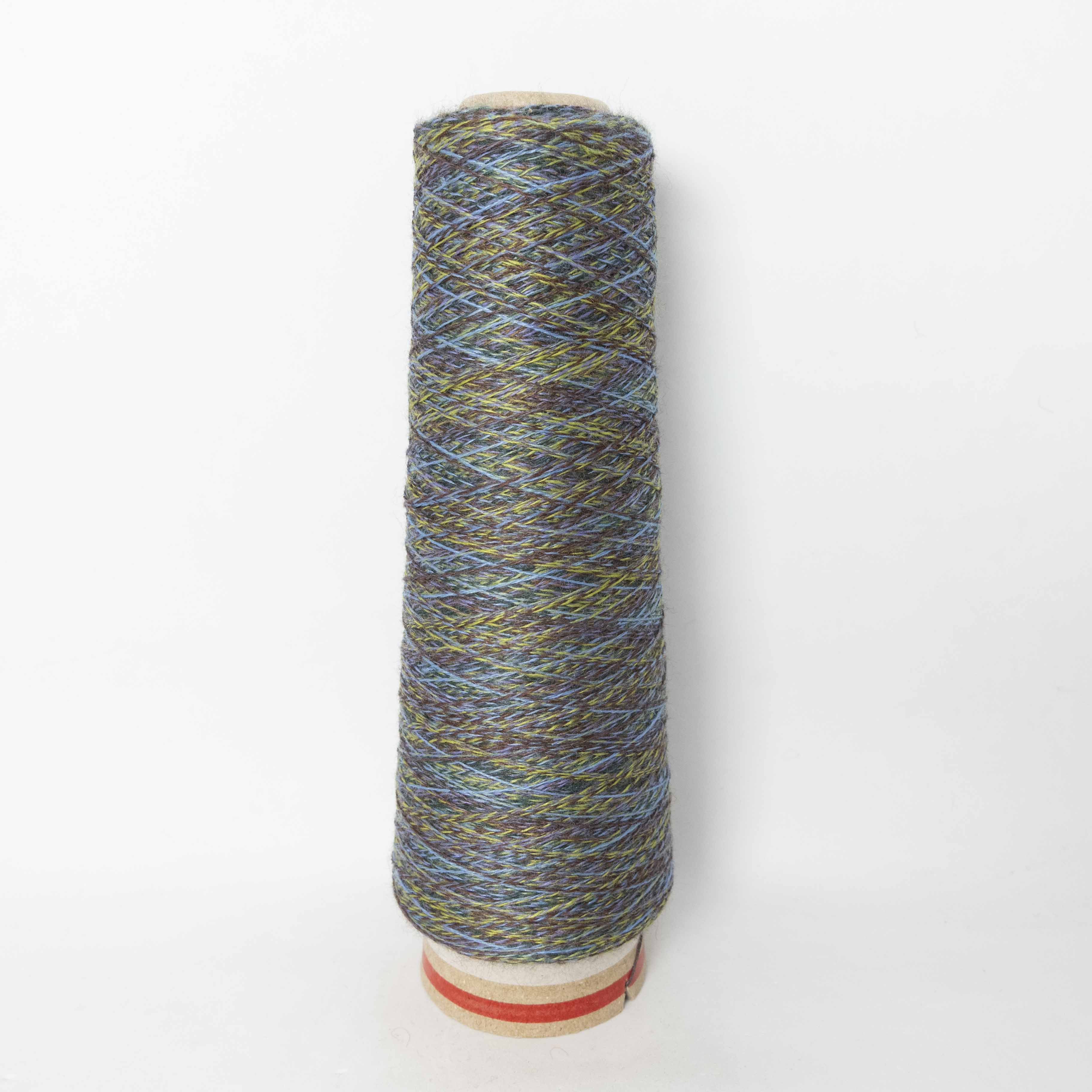 2/48 ネオンテトラ