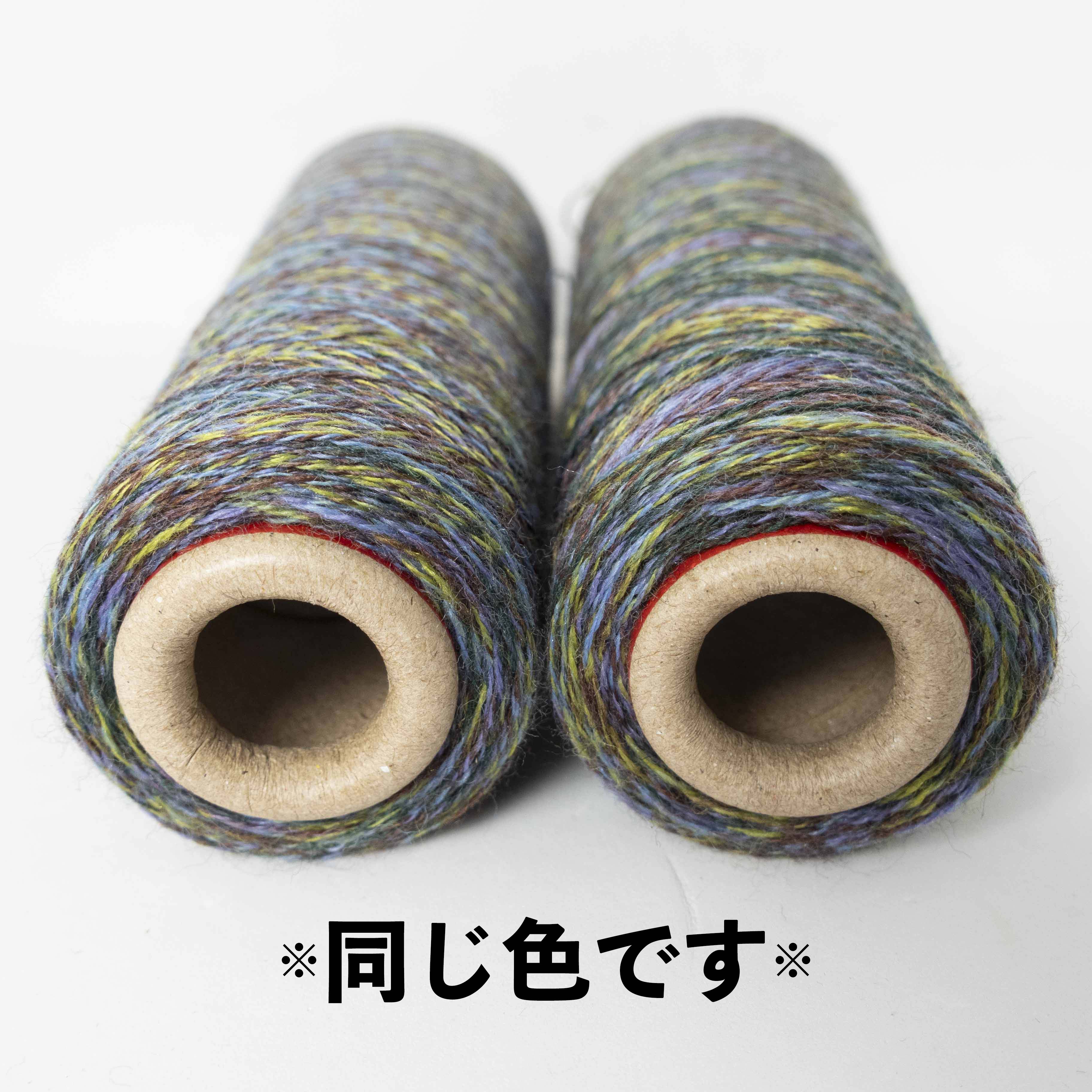 2/48 ネオンテトラ