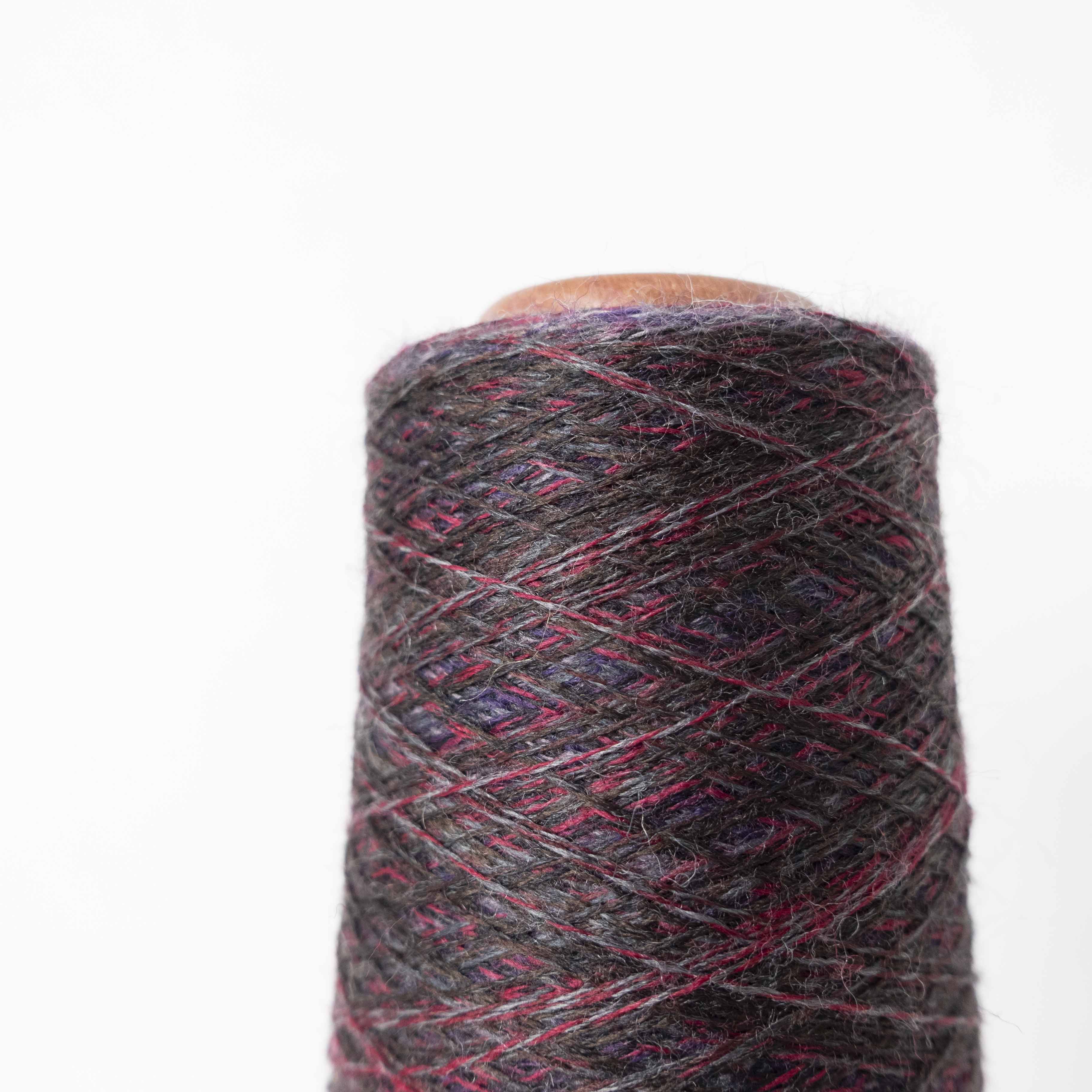 2/48 ネオンテトラ