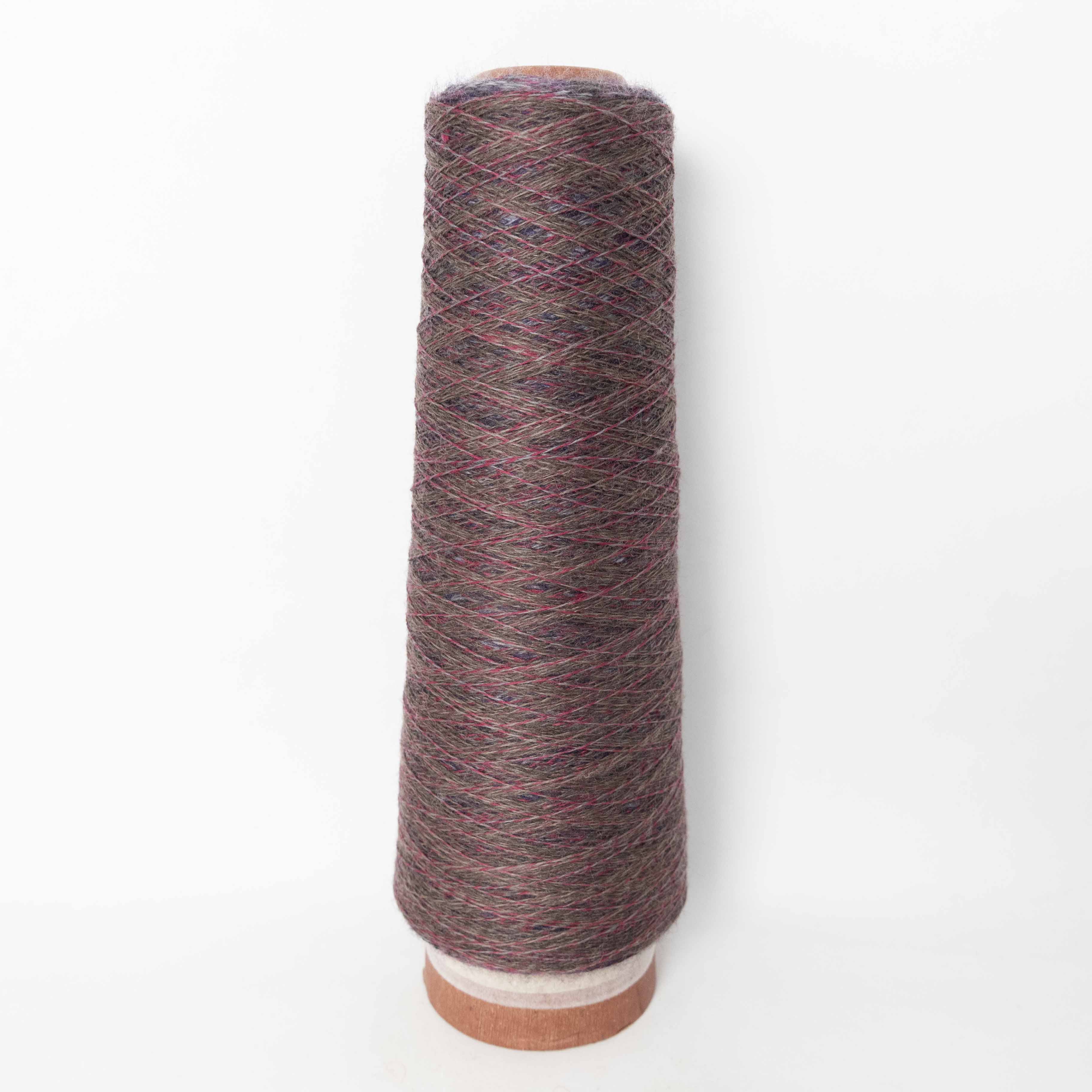 2/48 ネオンテトラ