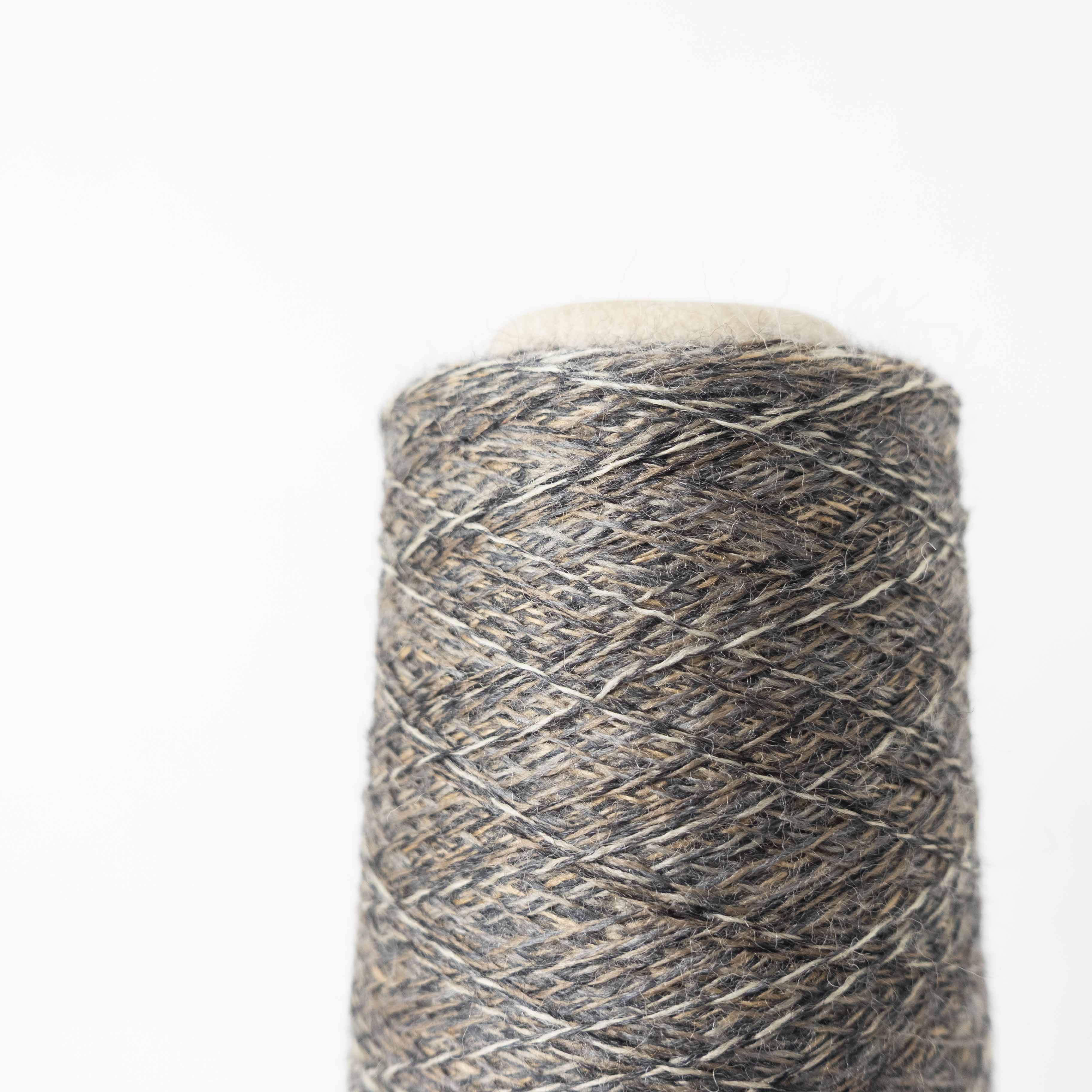 2/48 ネオンテトラ