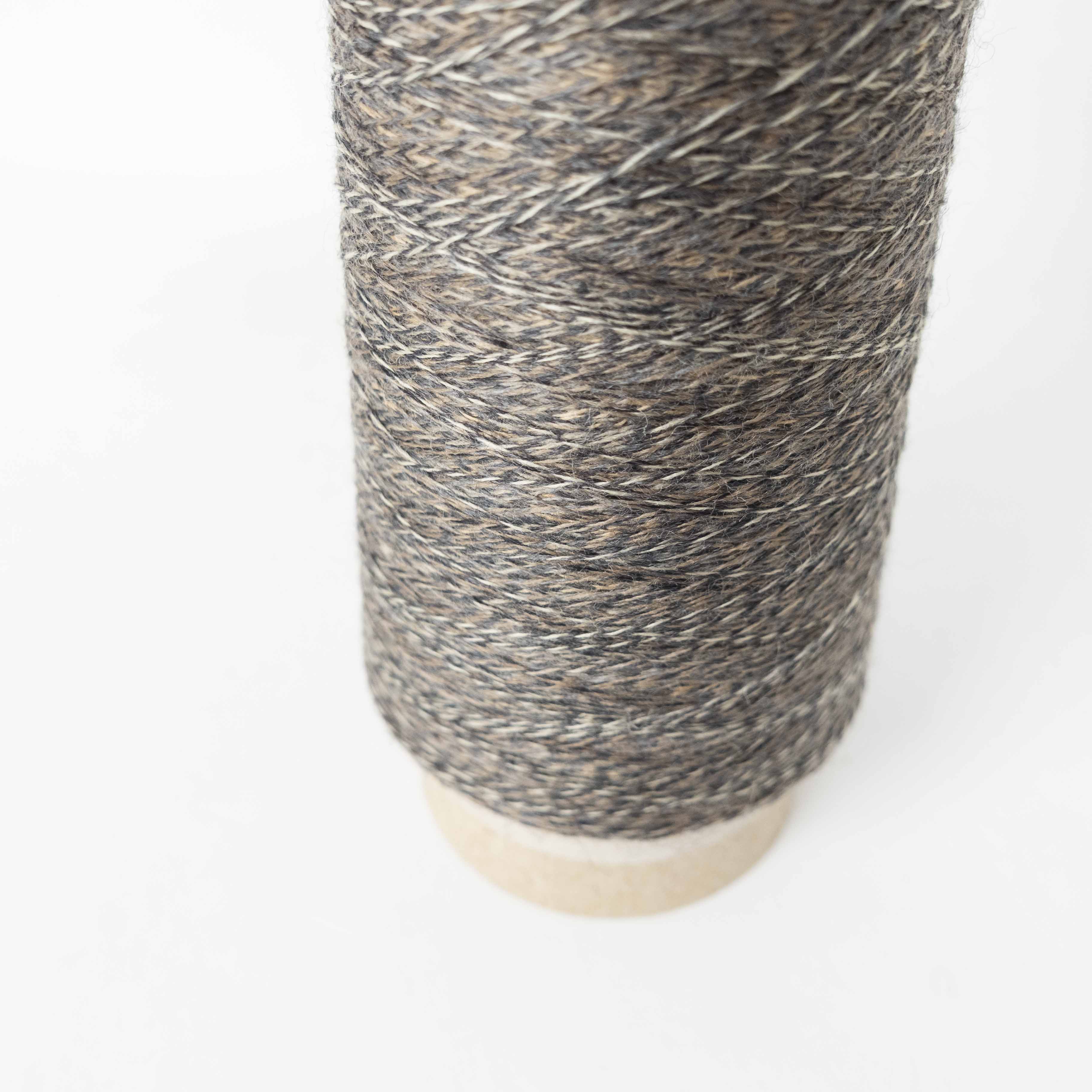 2/48 ネオンテトラ