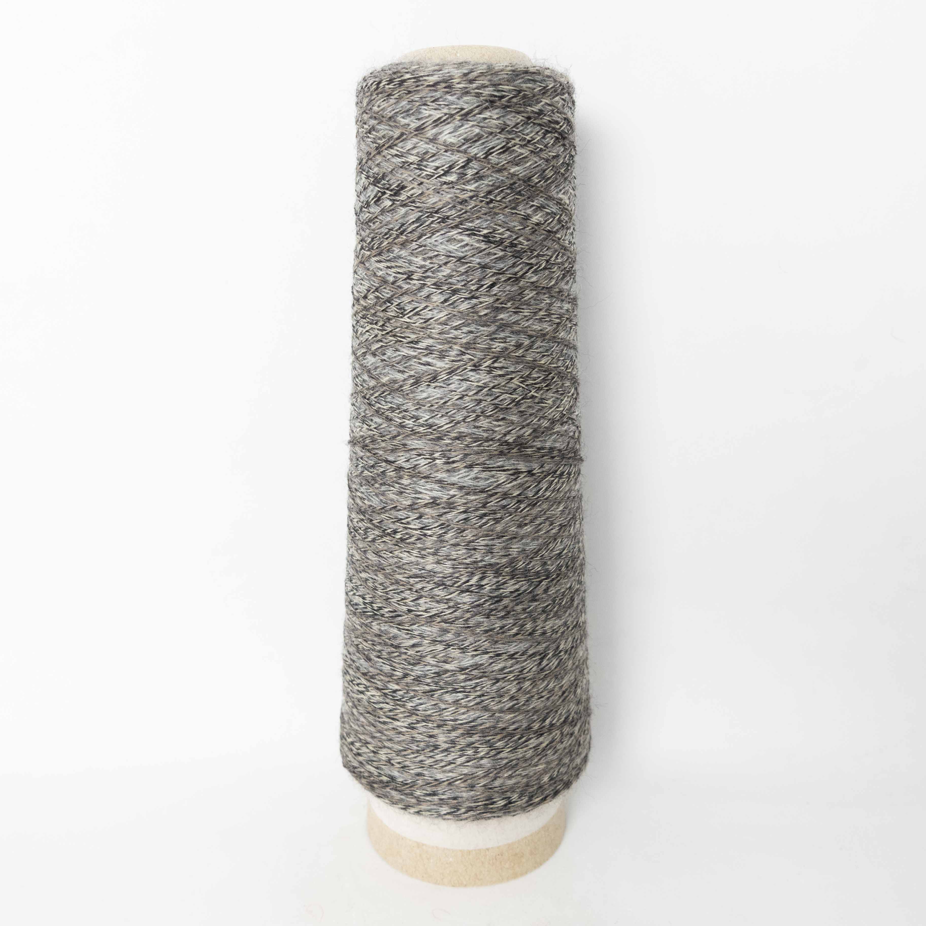 2/48 ネオンテトラ