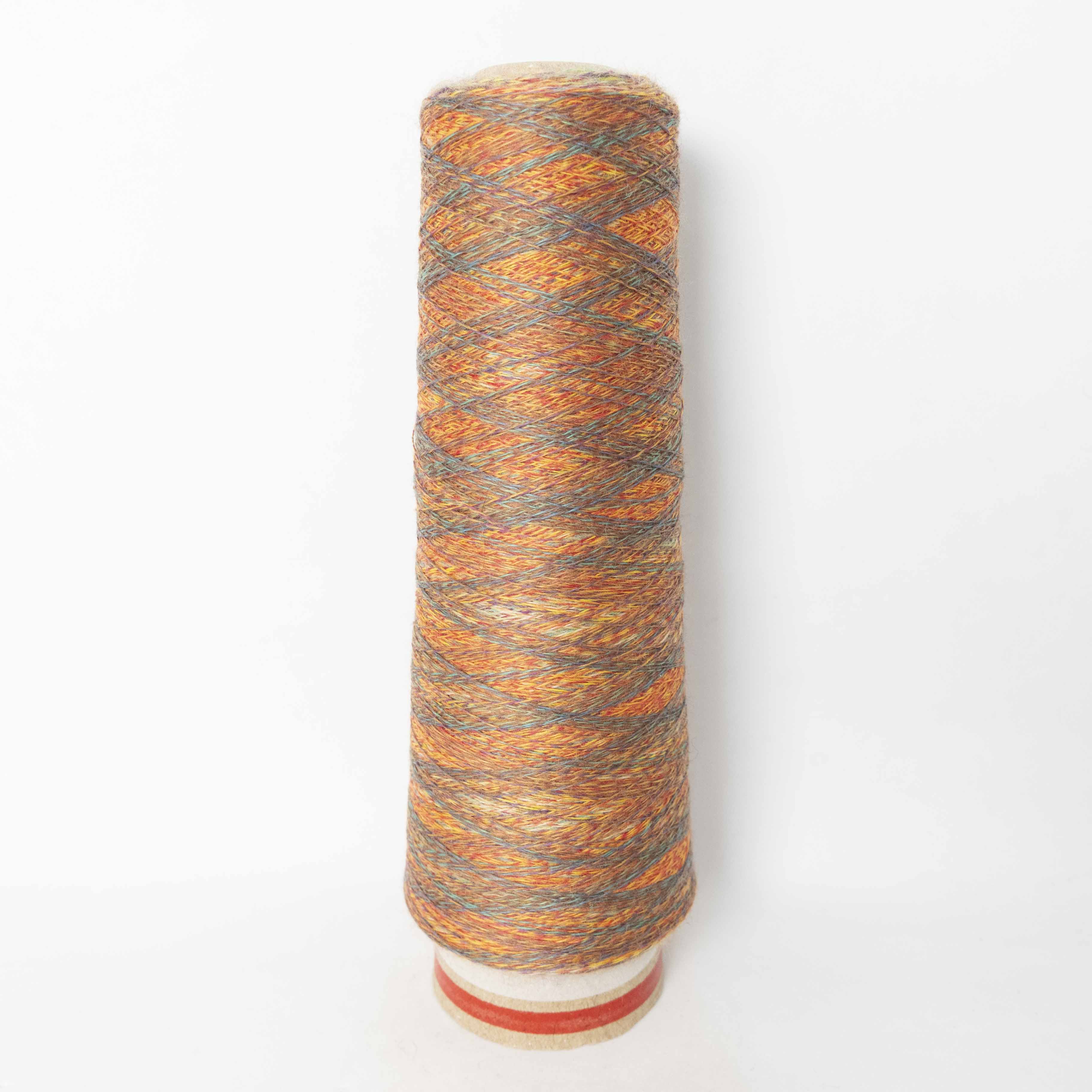 2/48 ネオンテトラ