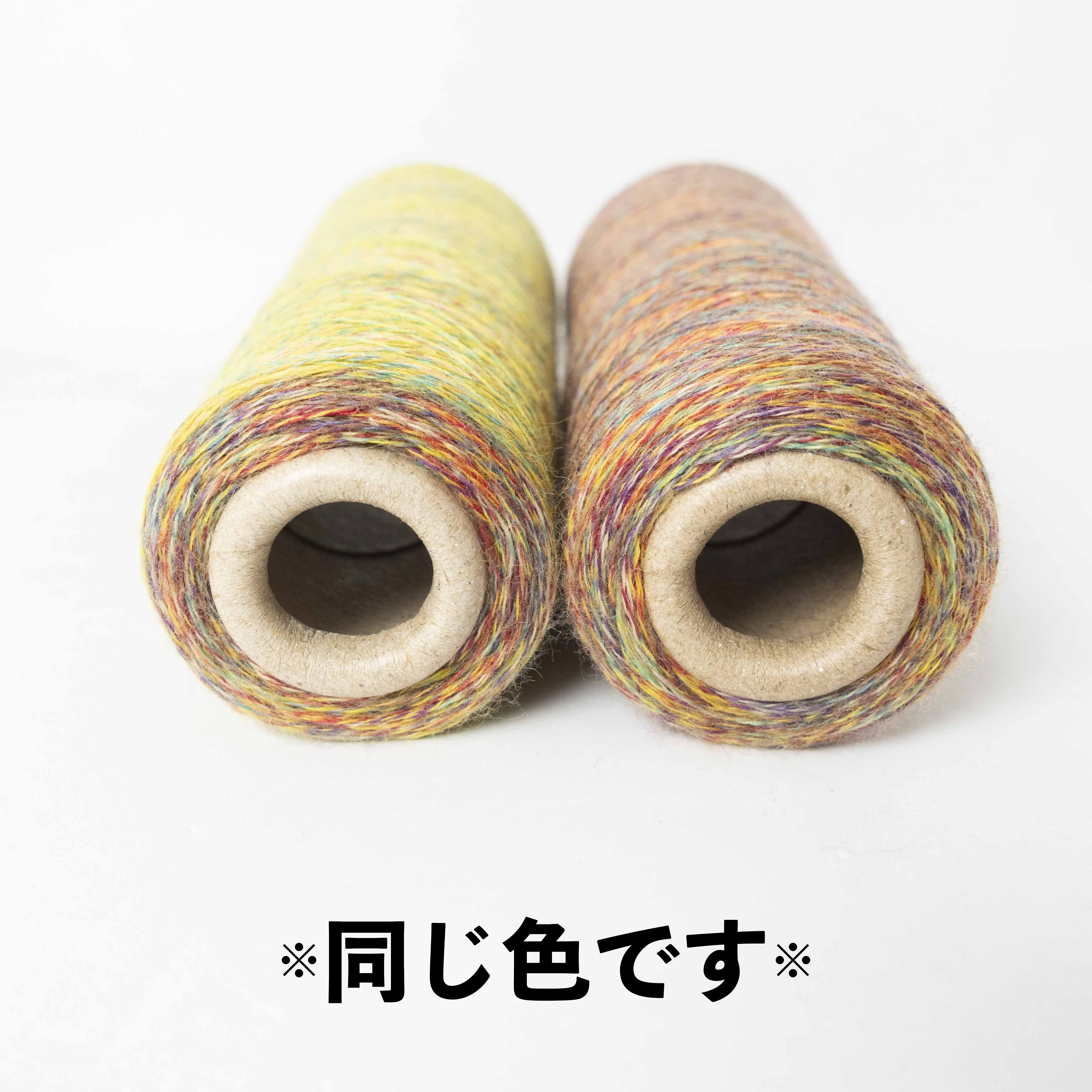 2/48 ネオンテトラ