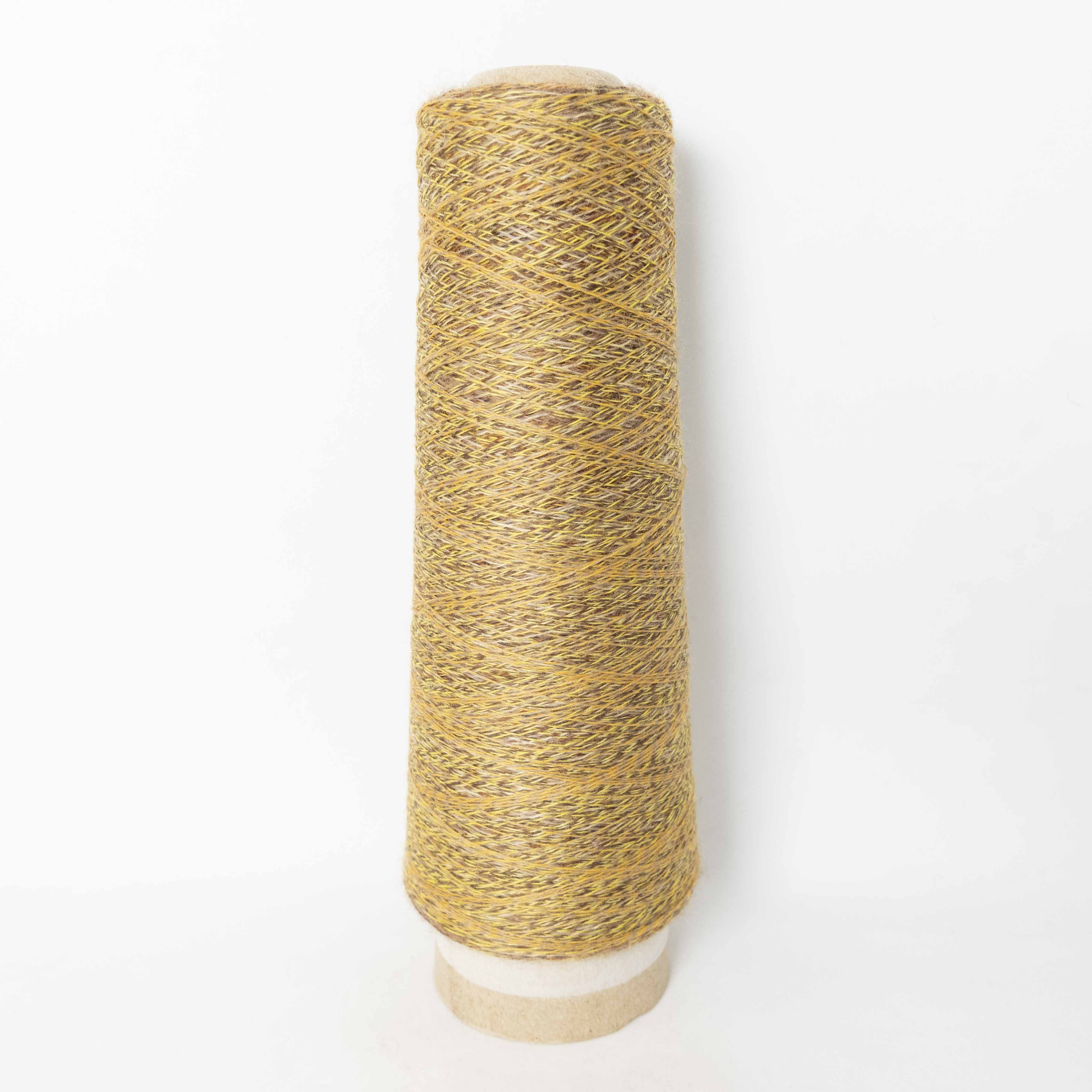 2/48 ネオンテトラ