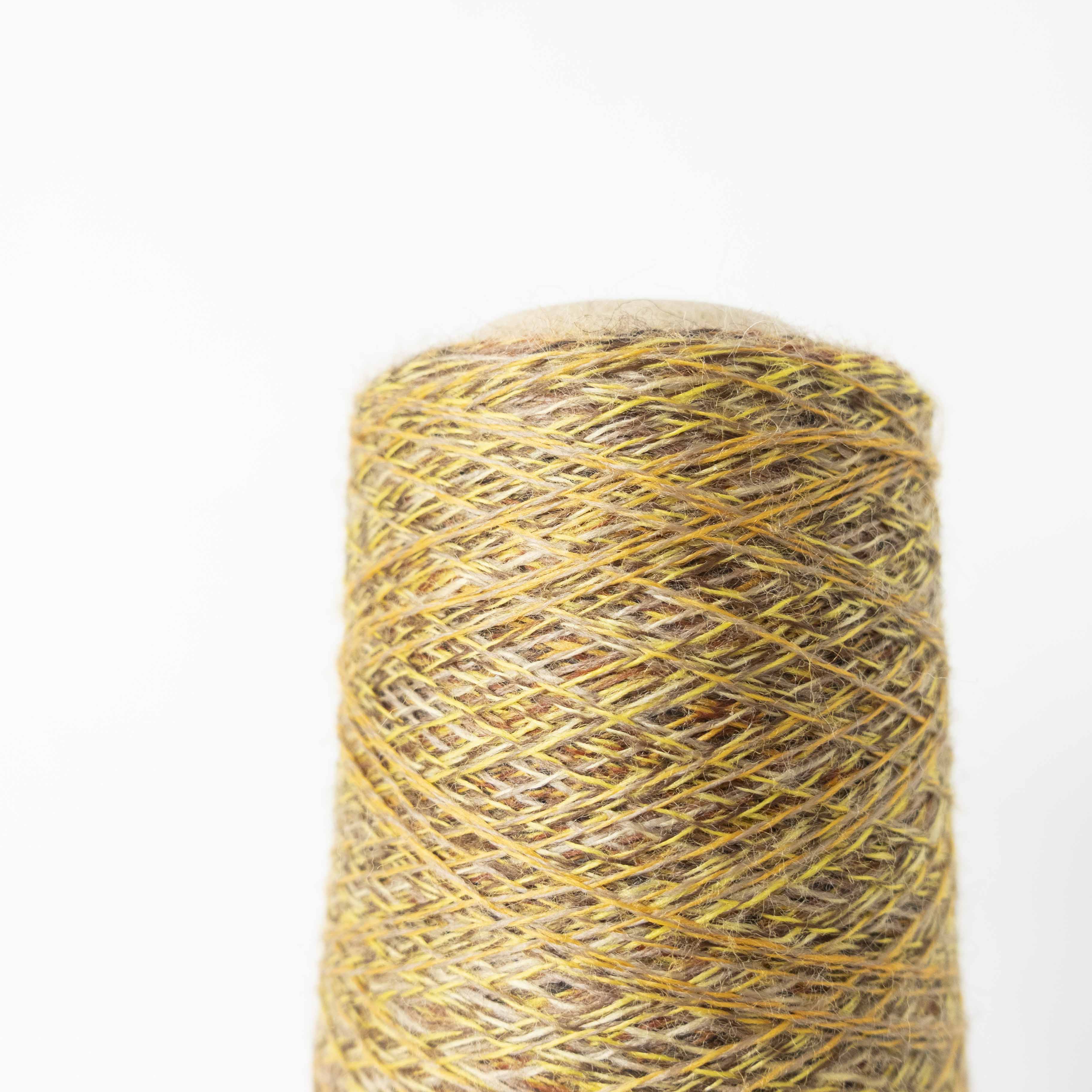 2/48 ネオンテトラ