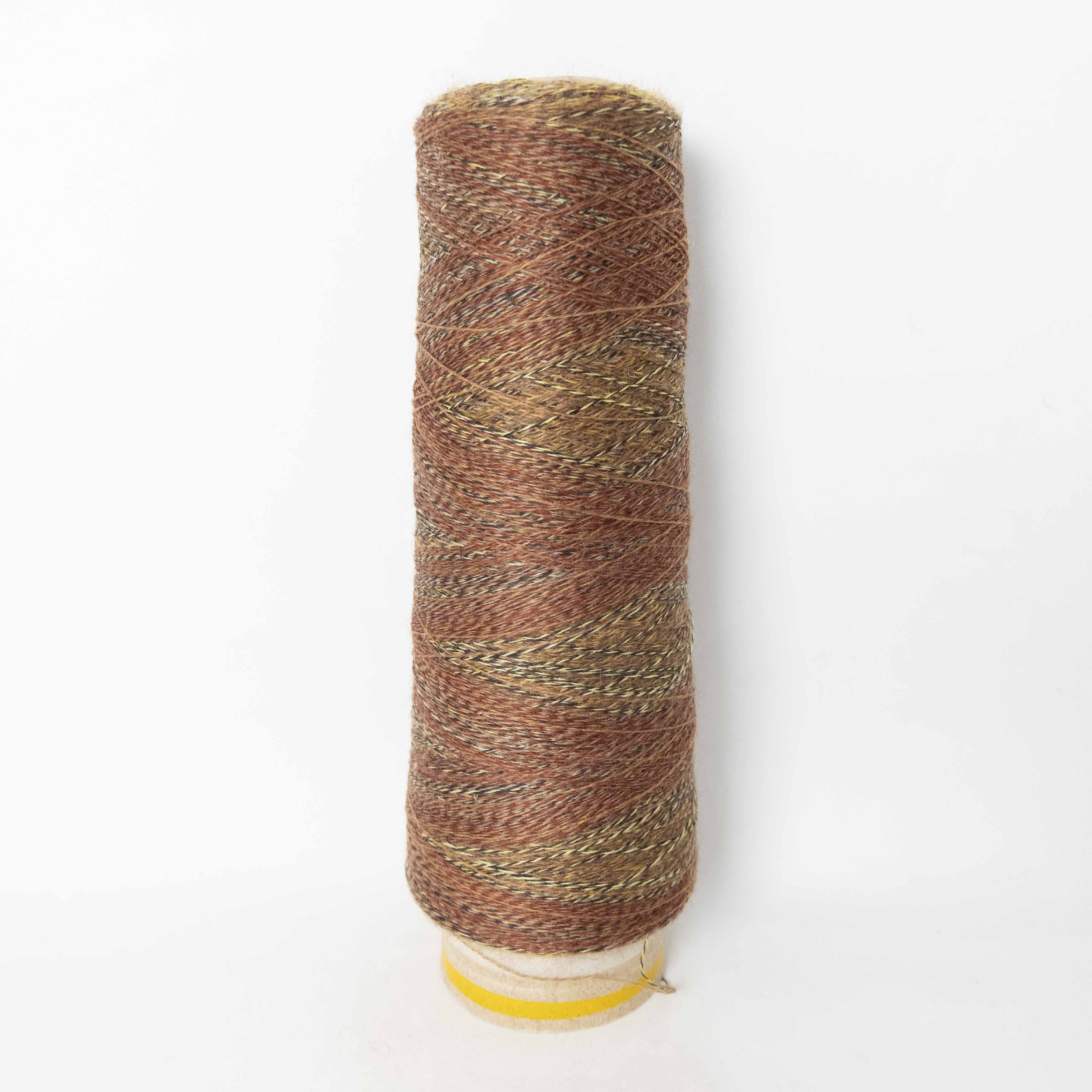 2/48 ネオンテトラ