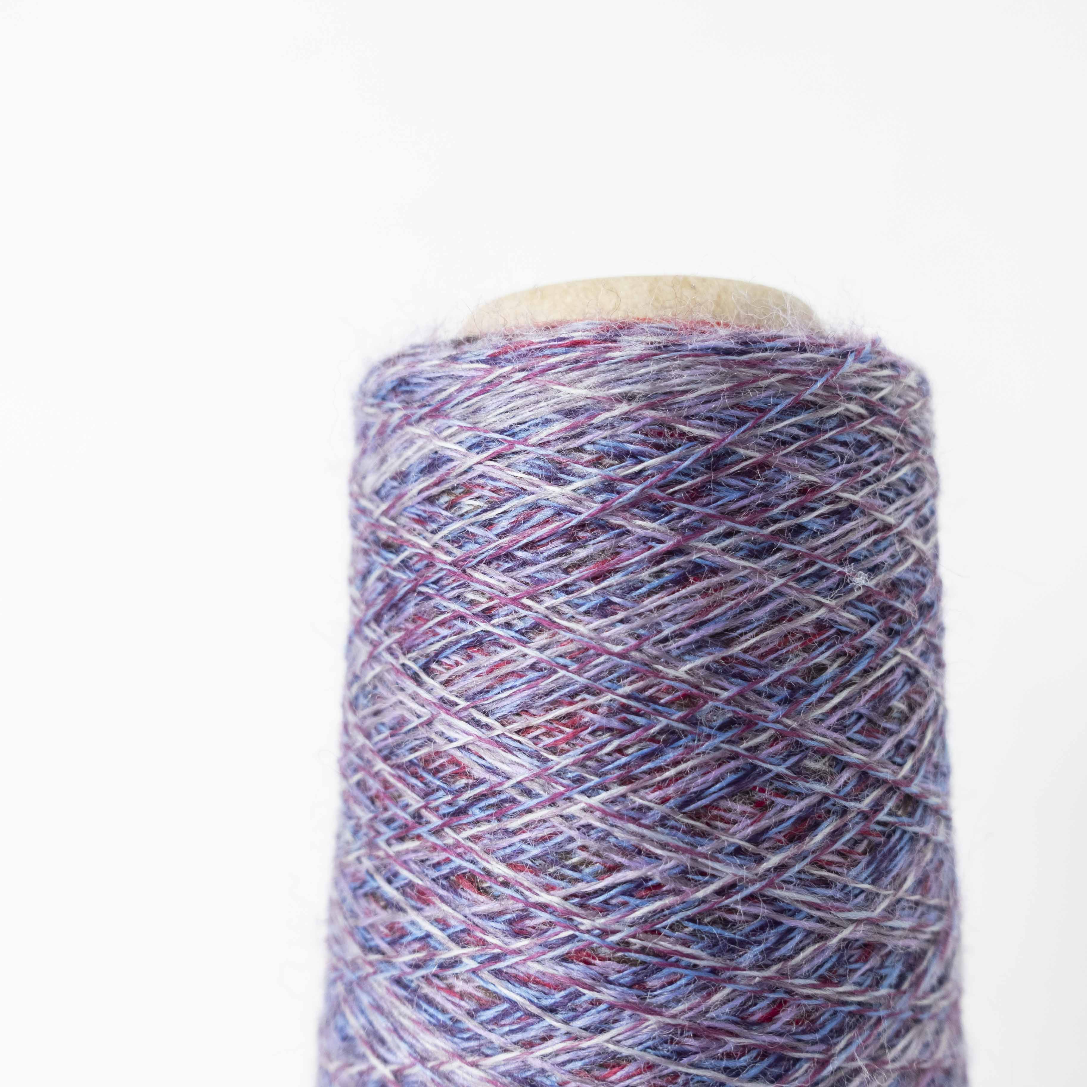 2/48 ネオンテトラ