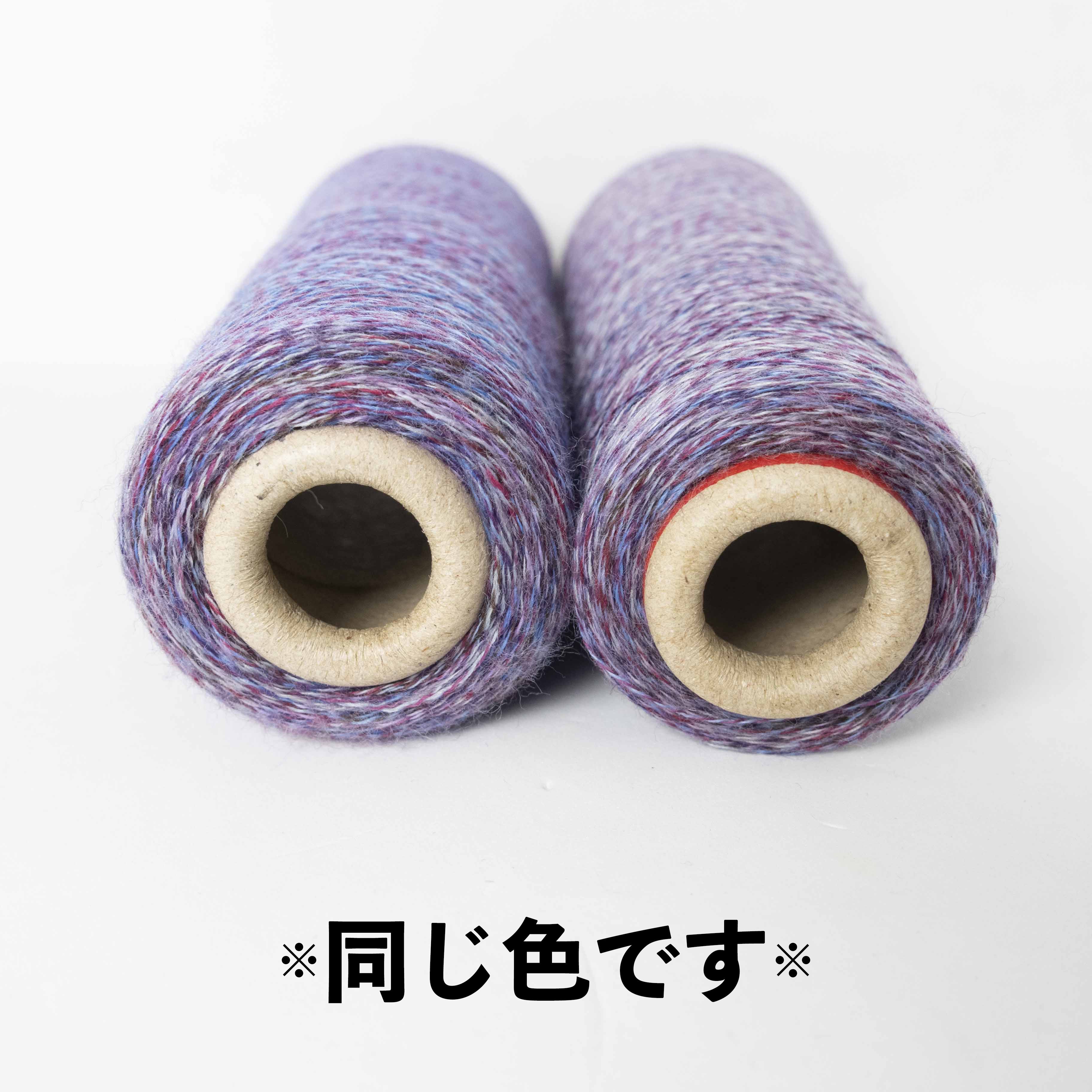 2/48 ネオンテトラ