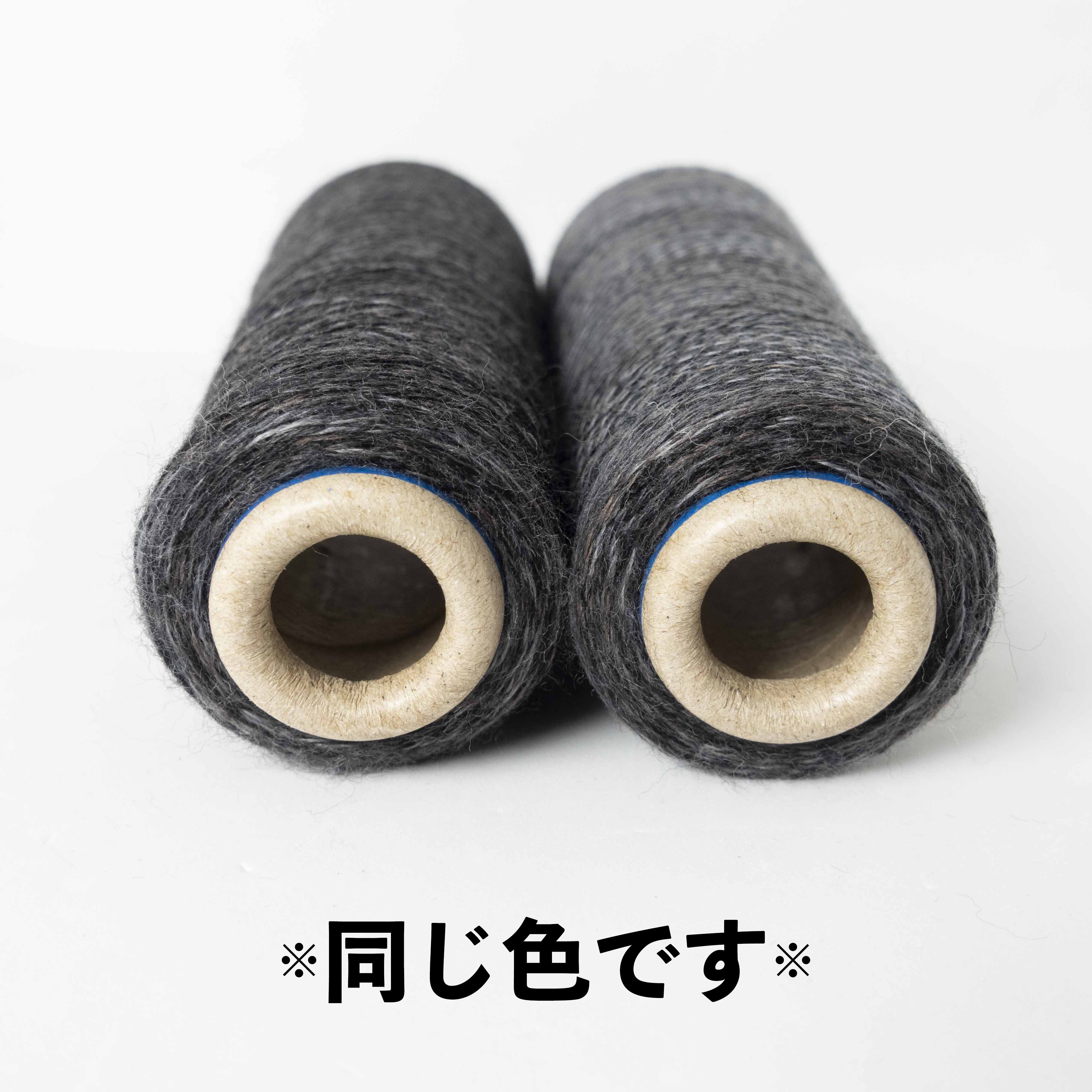 2/48 ネオンテトラ