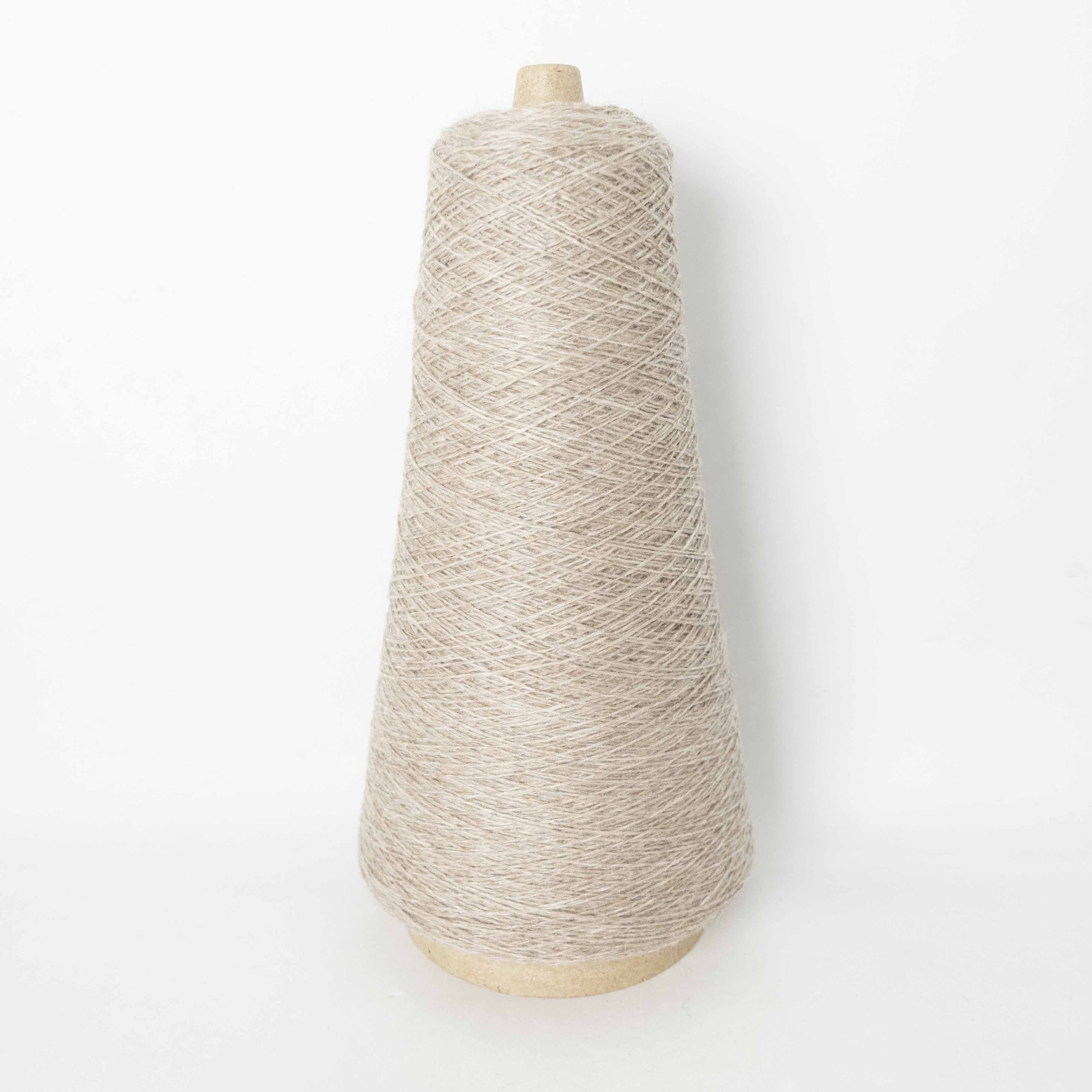 2/26 ウールラクーン