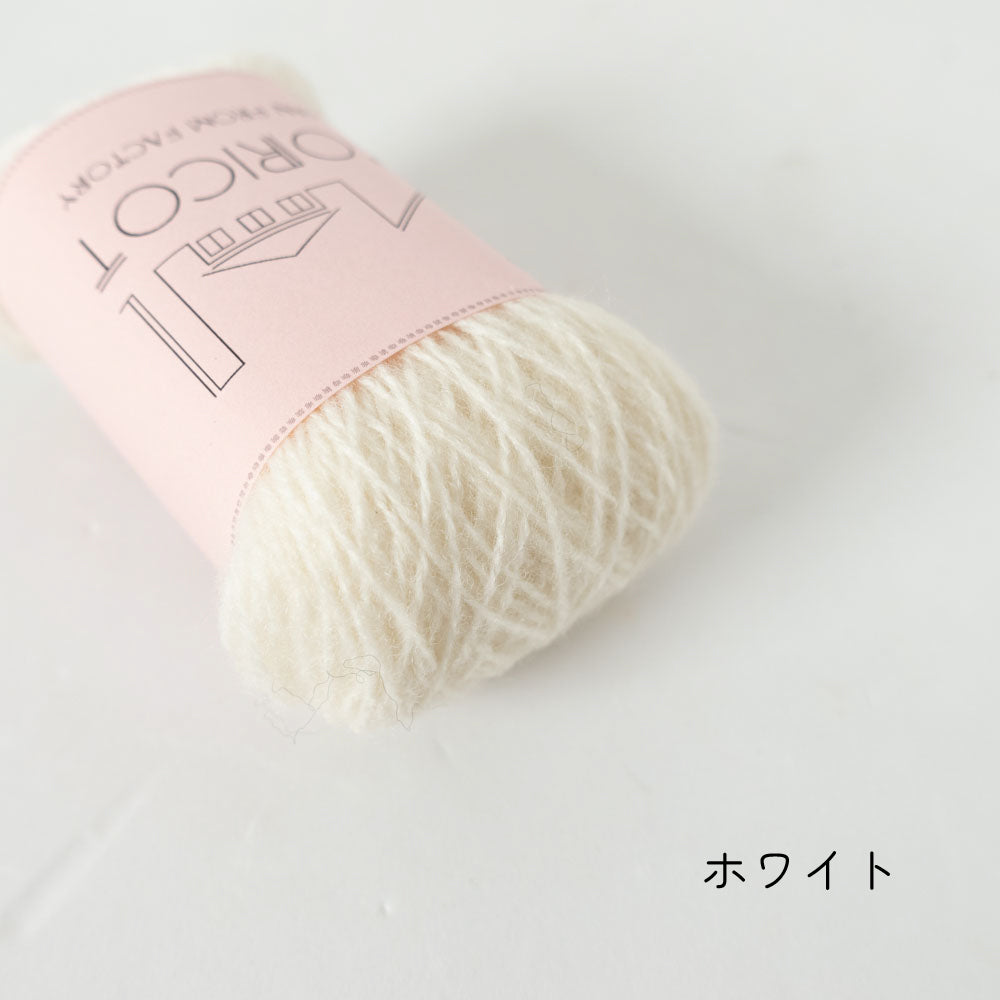 【10g小巻】2/20 bon bon merino(ボンボン・メリノ)
