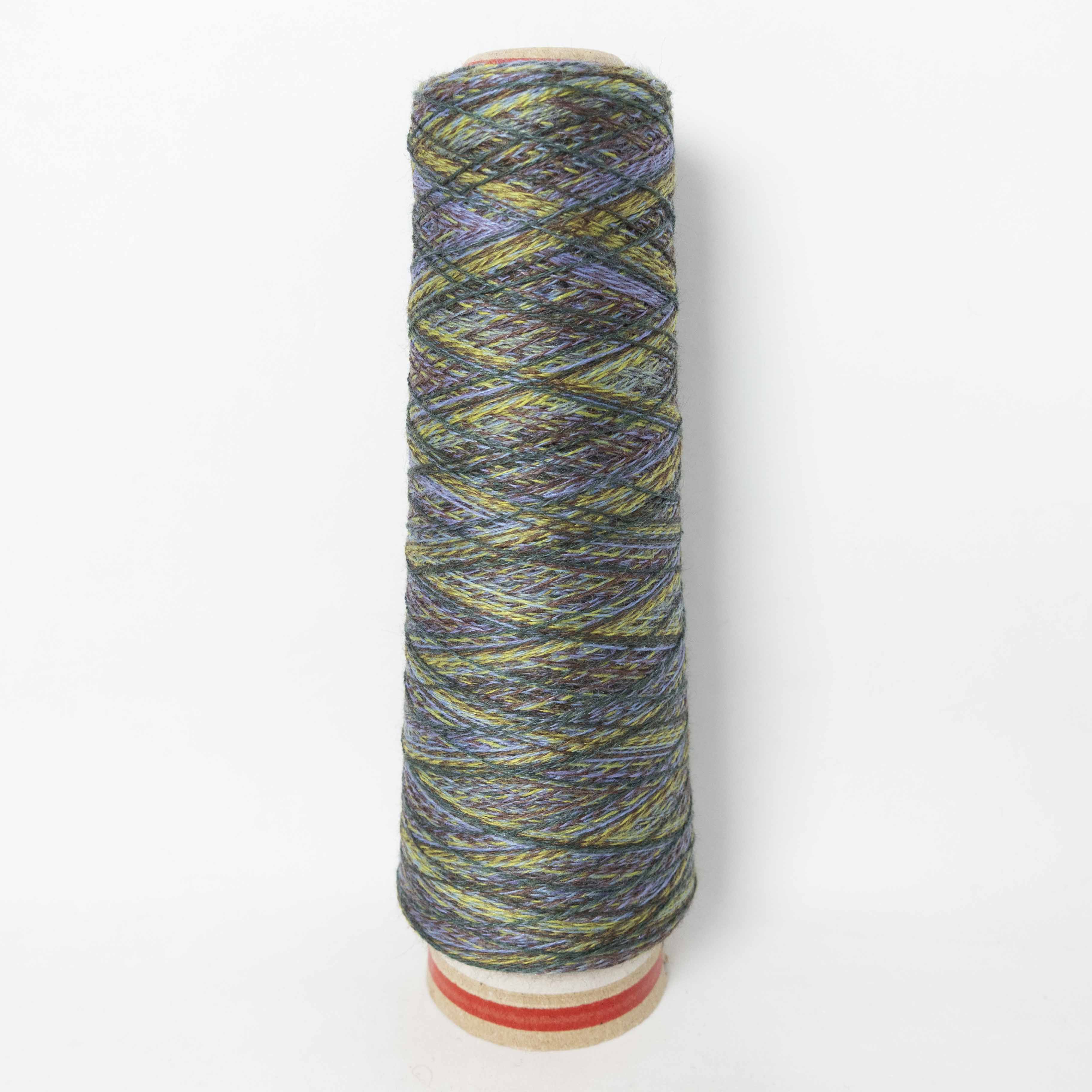 2/48 ネオンテトラ