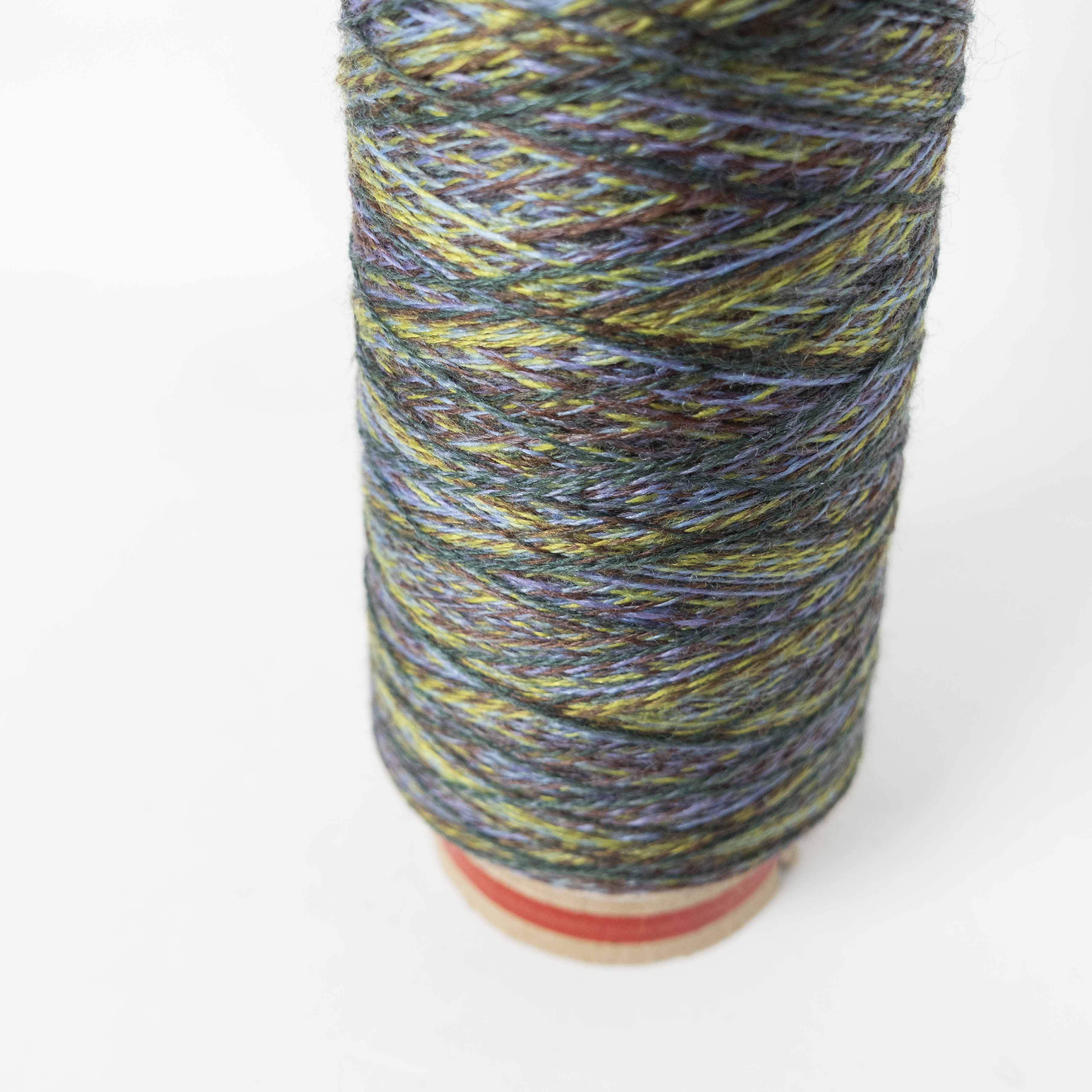 2/48 ネオンテトラ