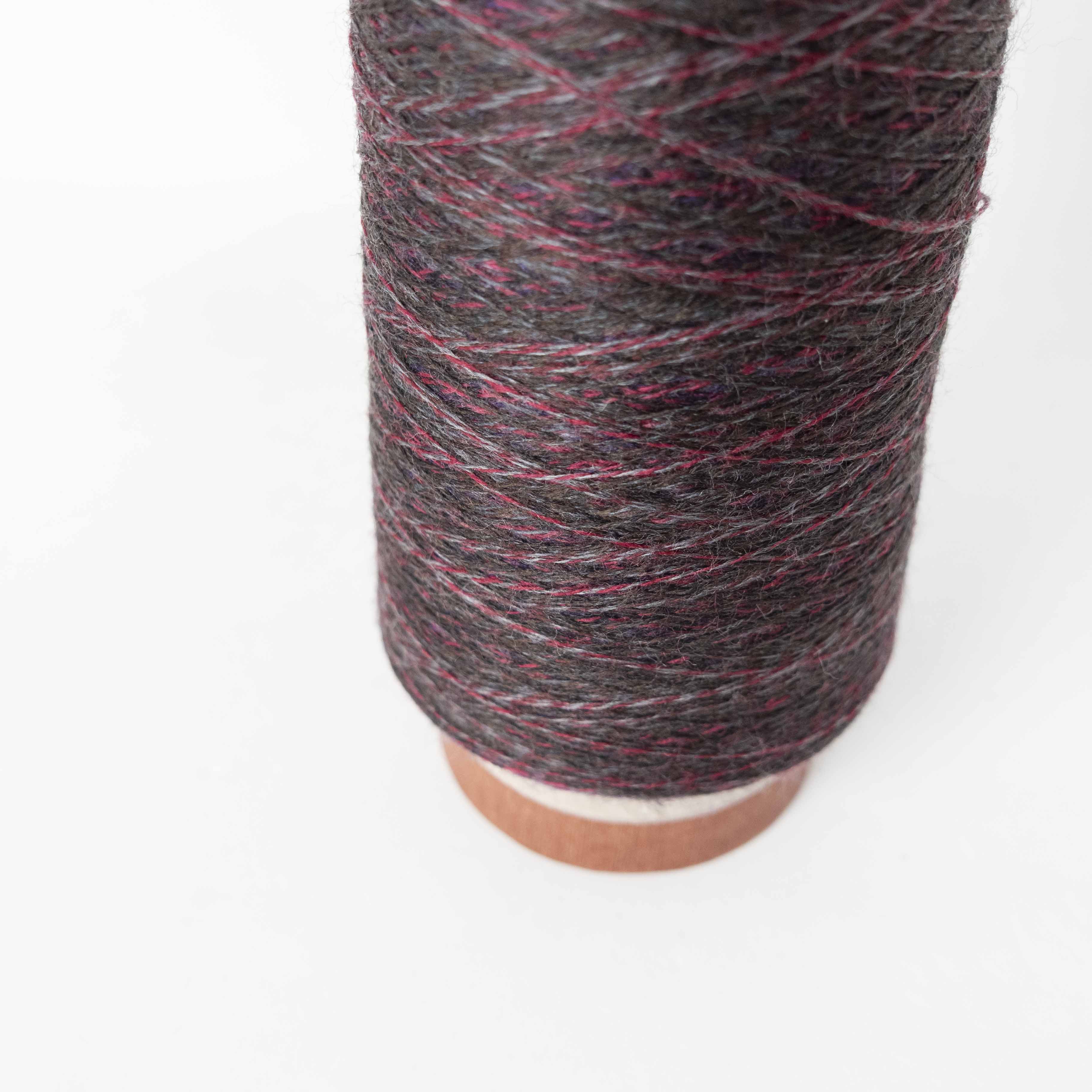 2/48 ネオンテトラ