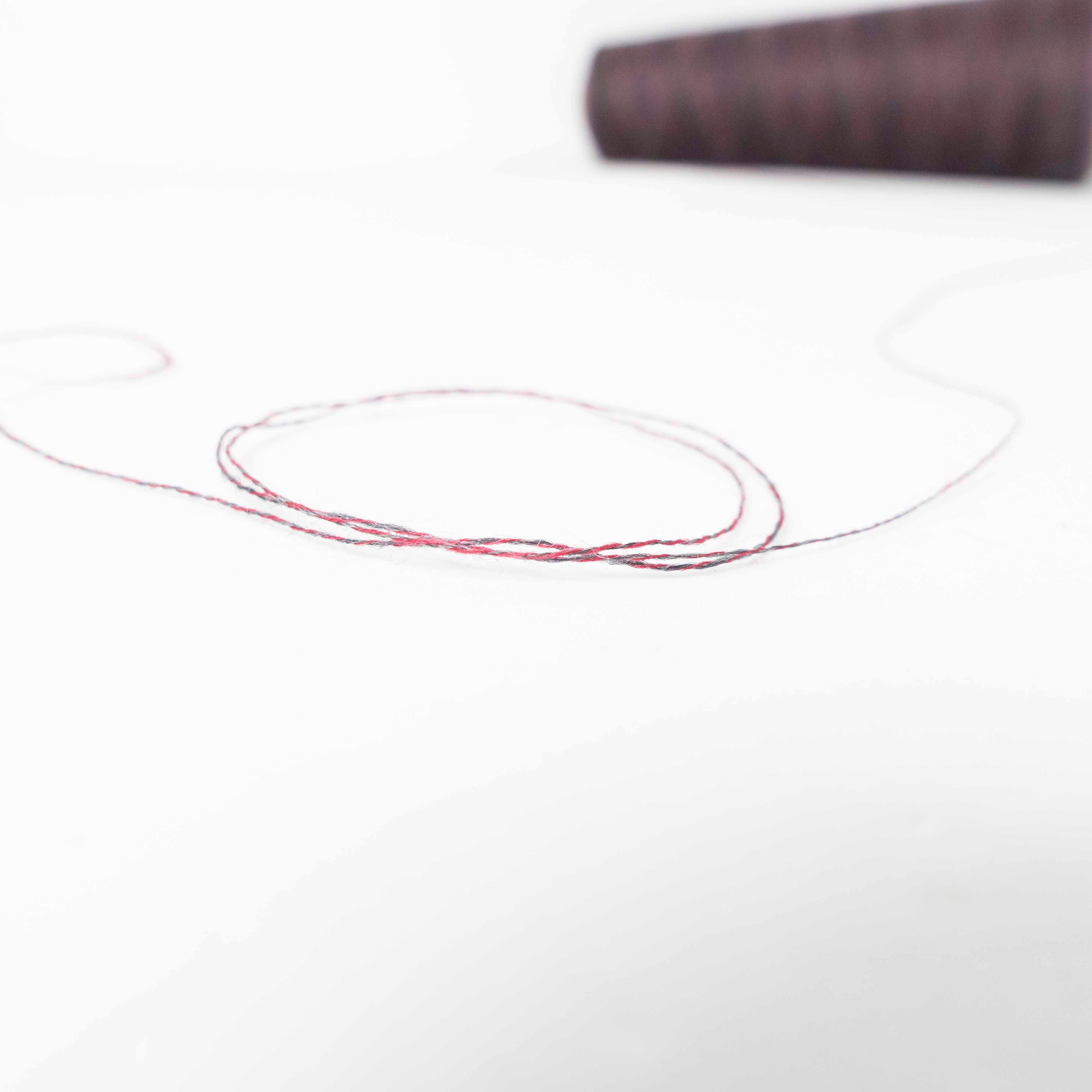 2/48 ネオンテトラ