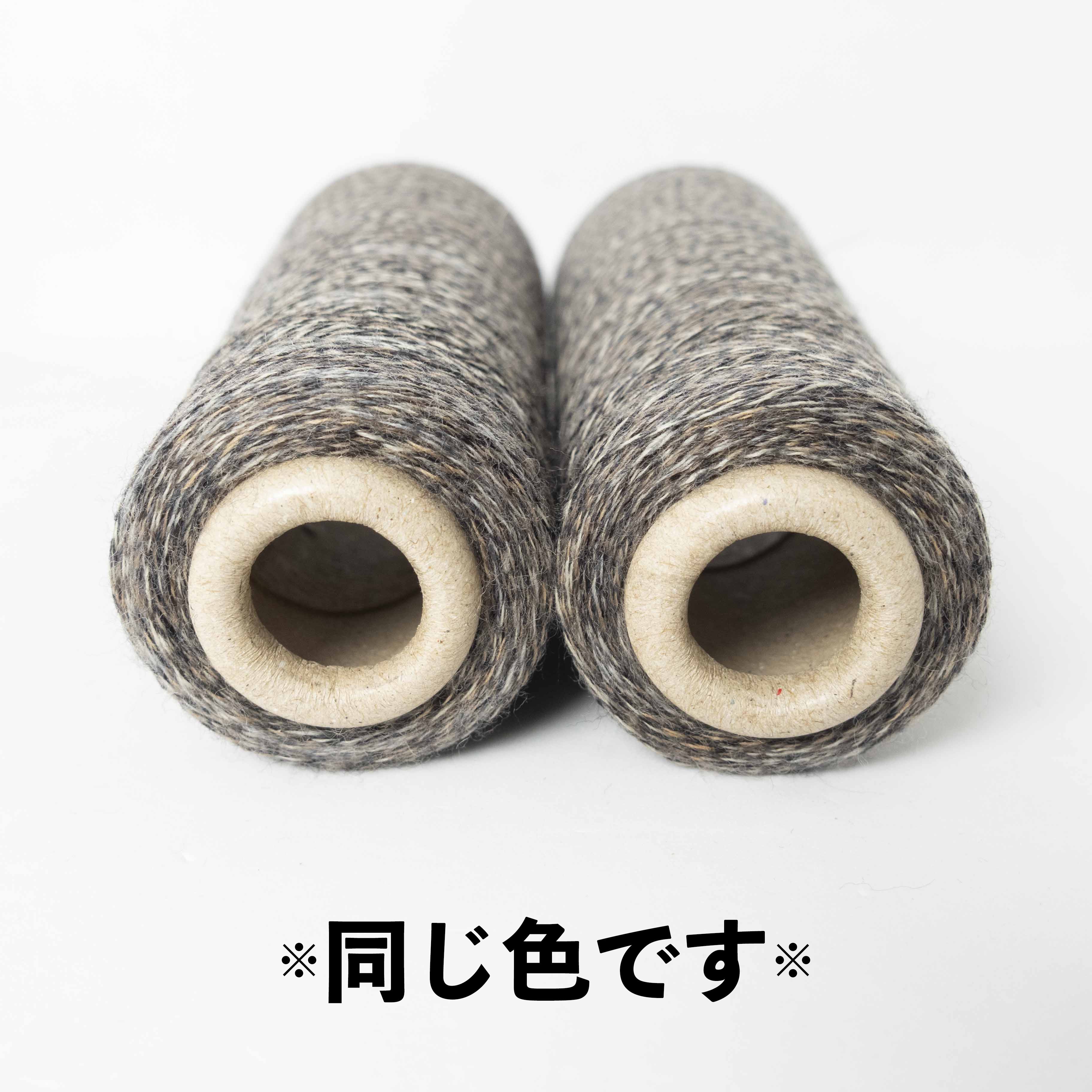 2/48 ネオンテトラ