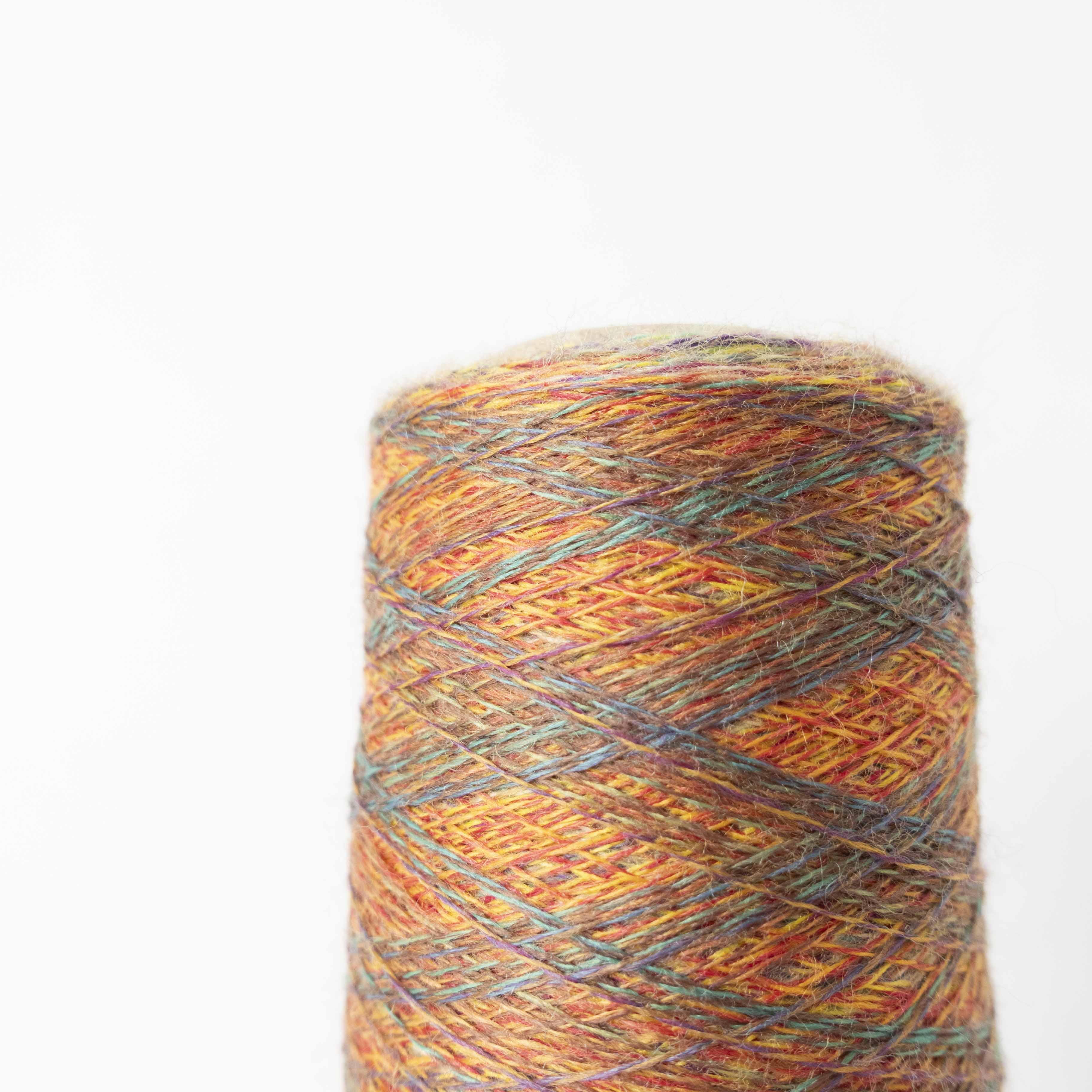 2/48 ネオンテトラ