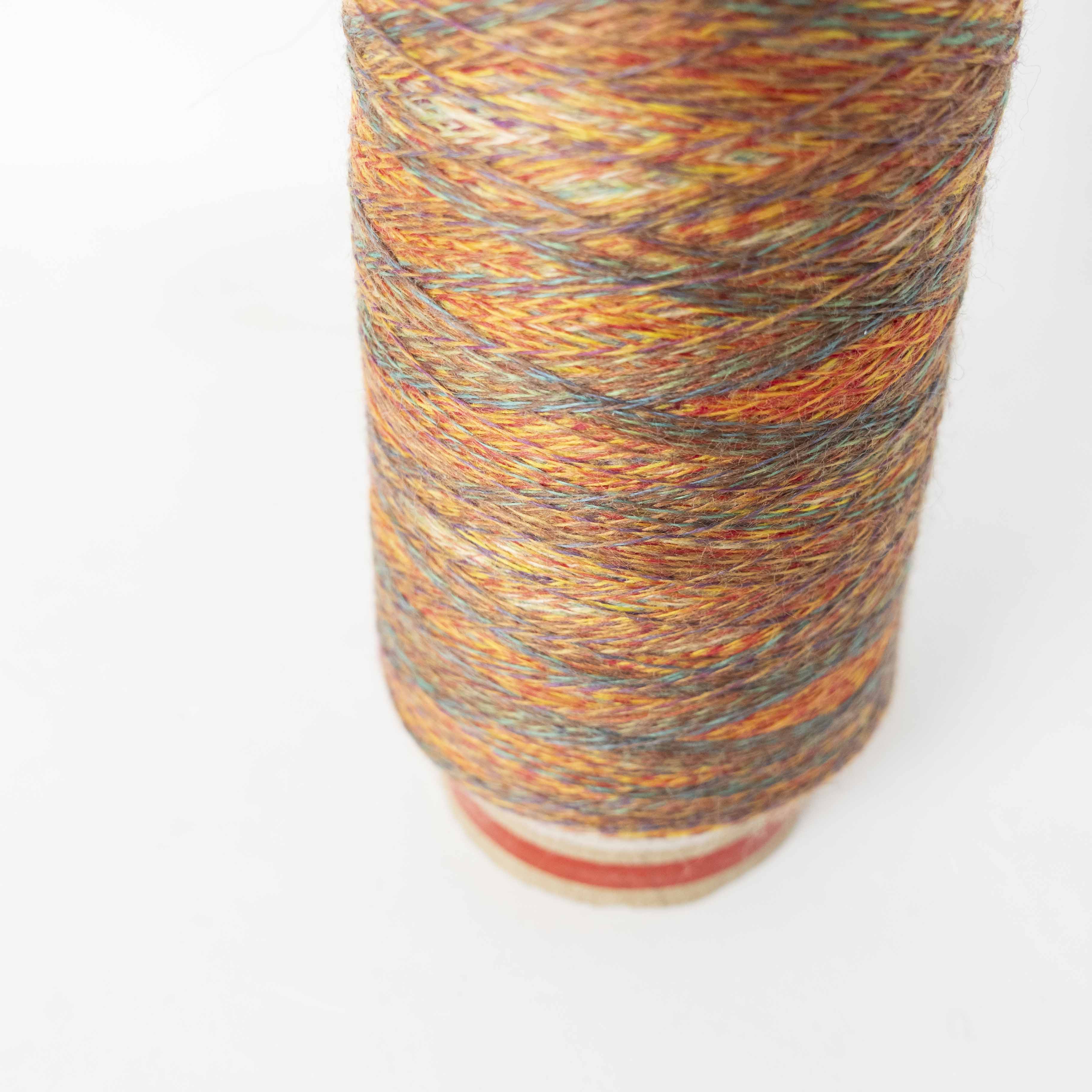 2/48 ネオンテトラ