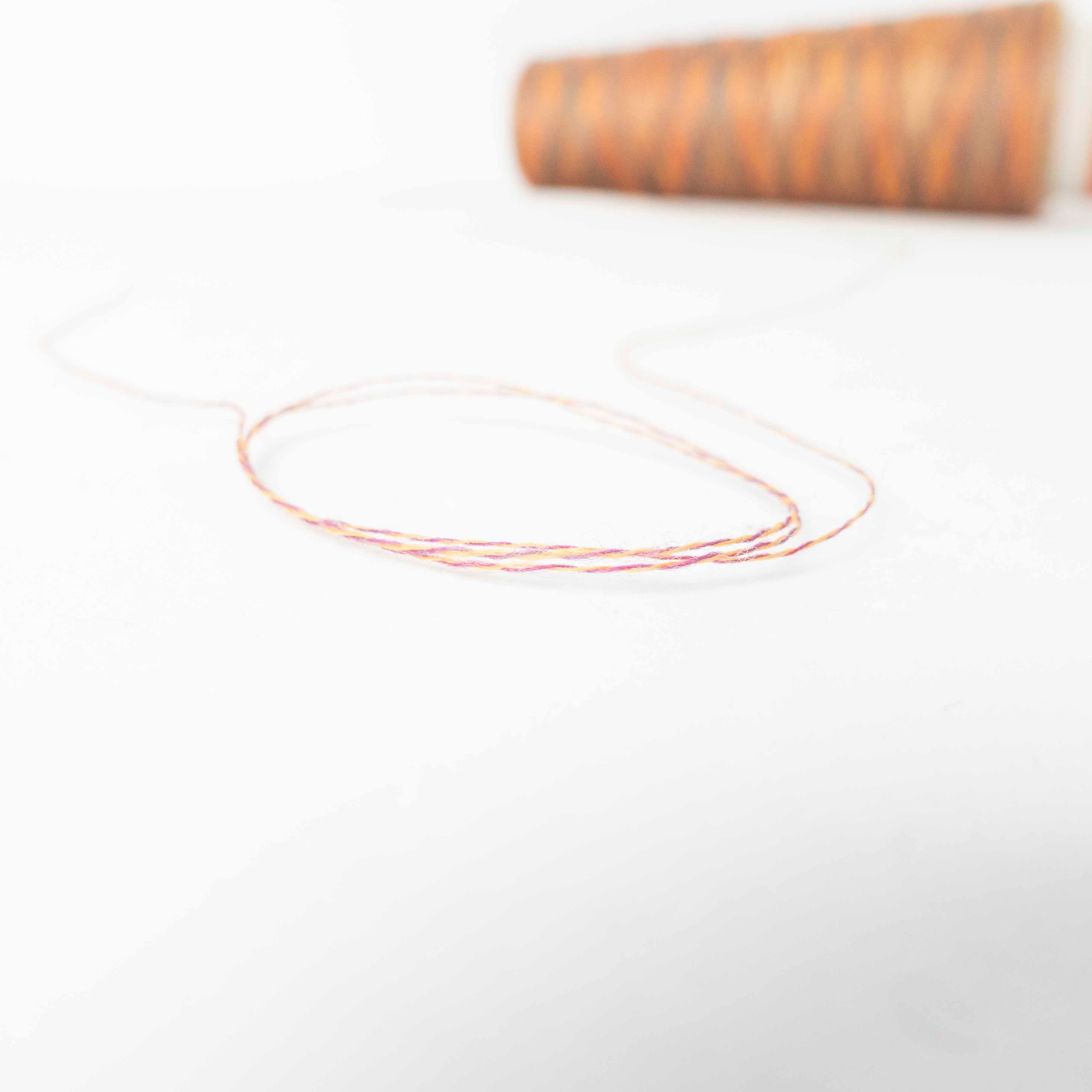 2/48 ネオンテトラ