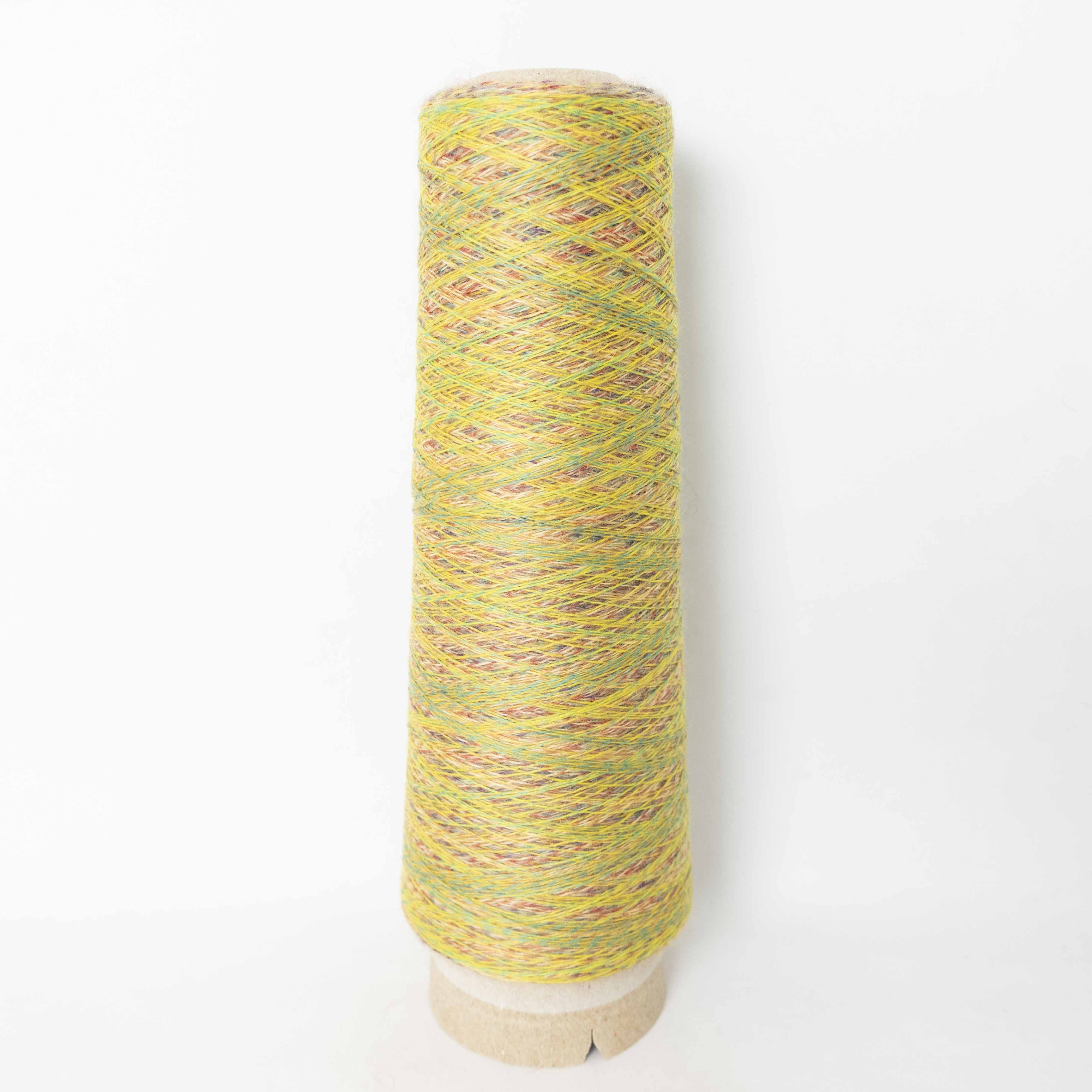 2/48 ネオンテトラ