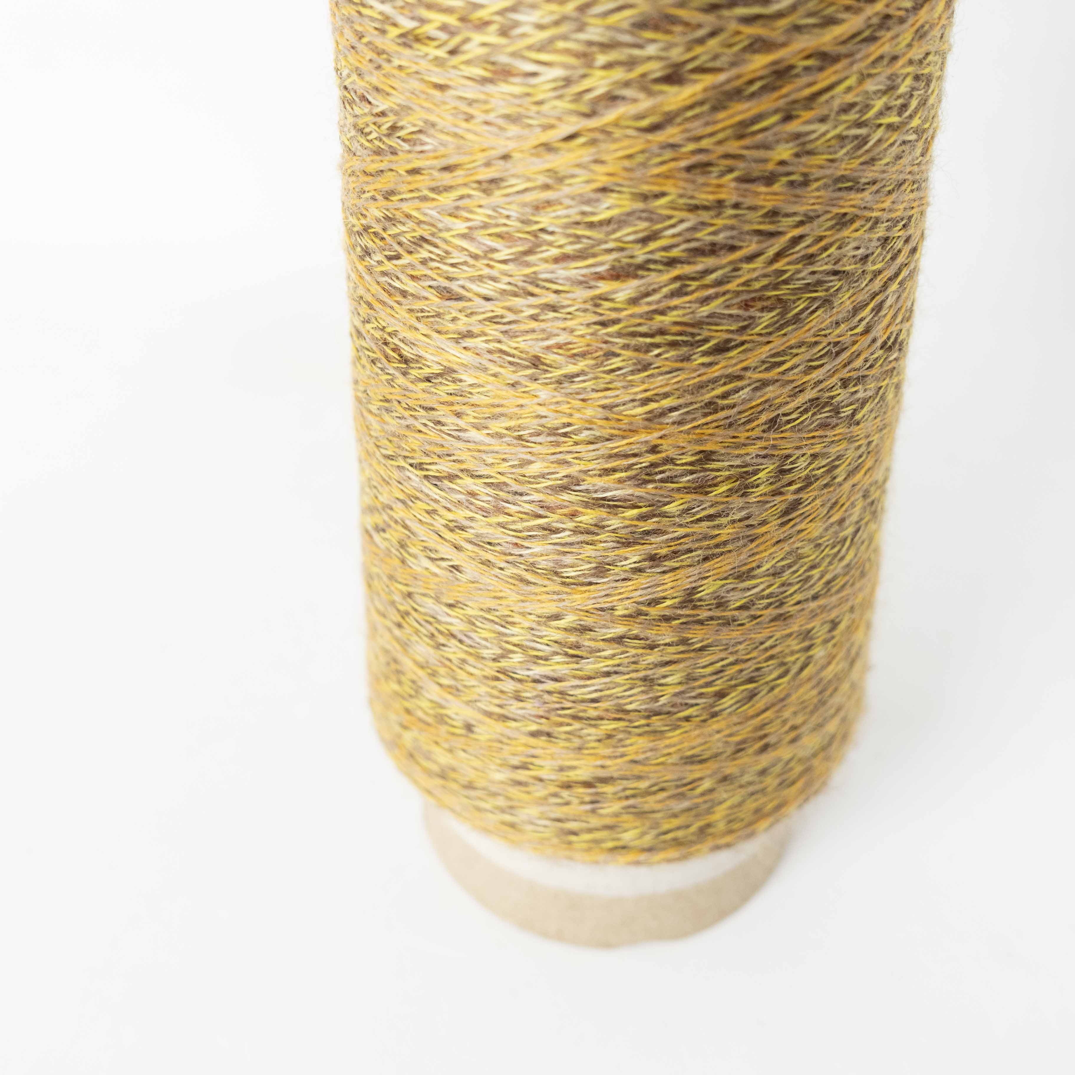 2/48 ネオンテトラ