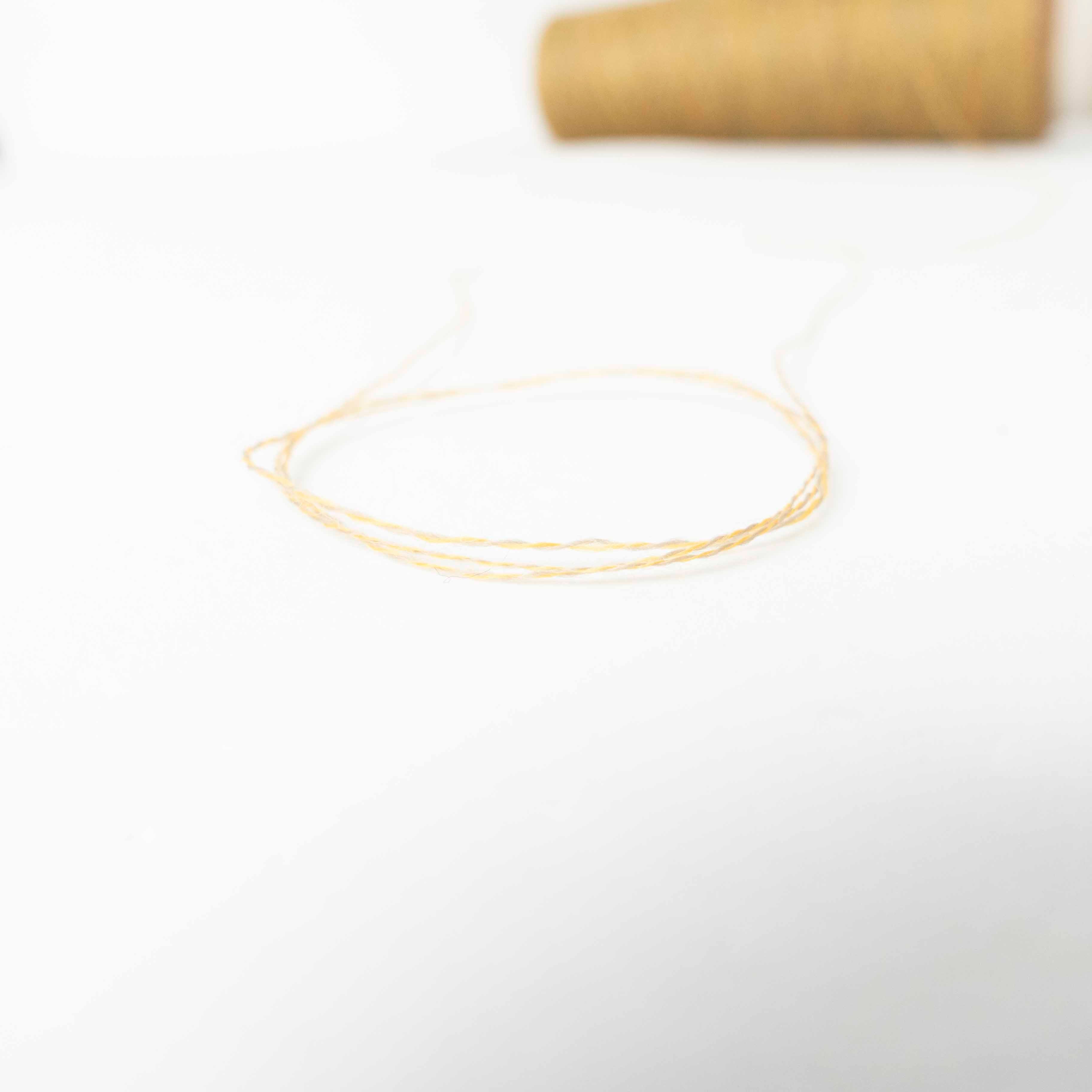 2/48 ネオンテトラ