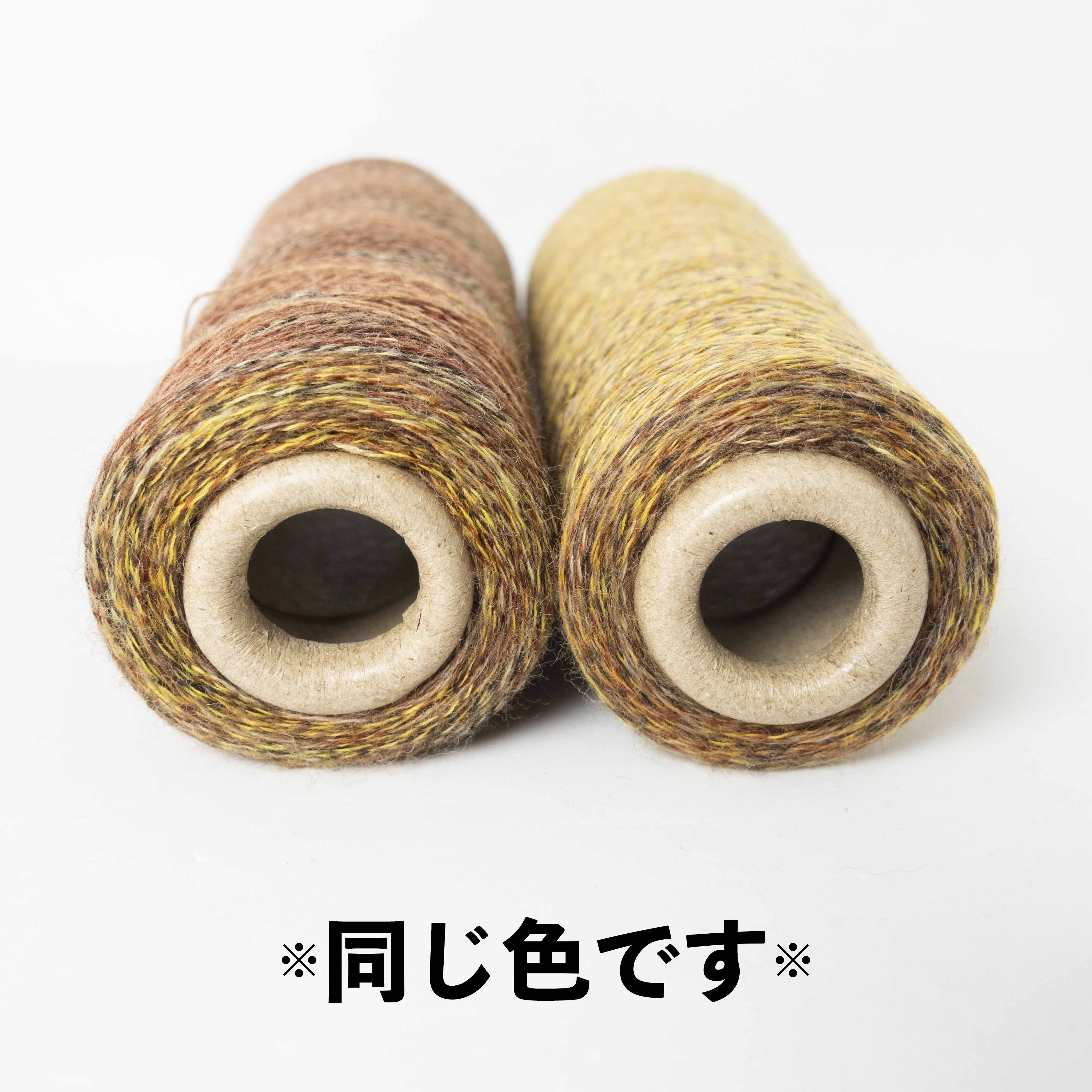 2/48 ネオンテトラ