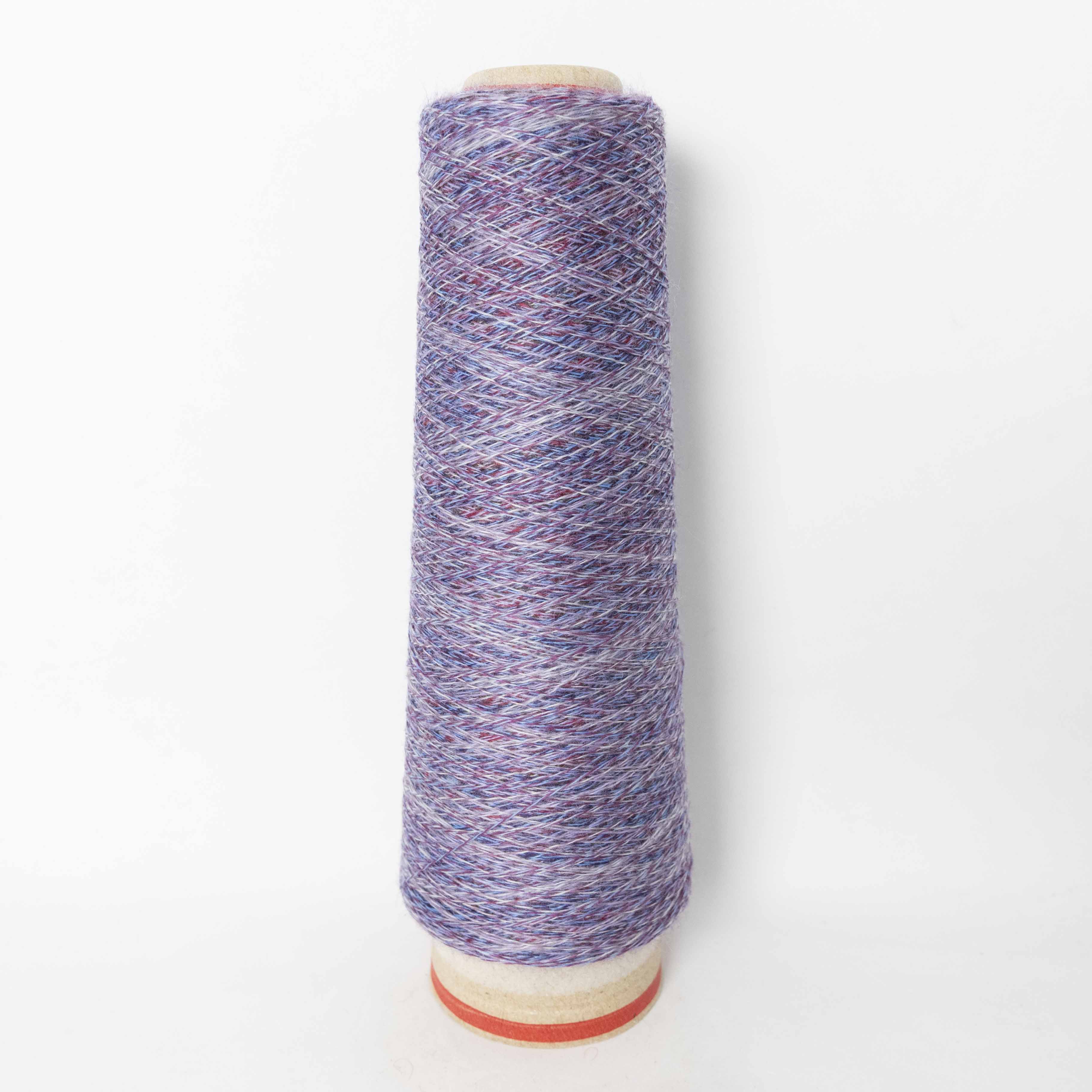 2/48 ネオンテトラ