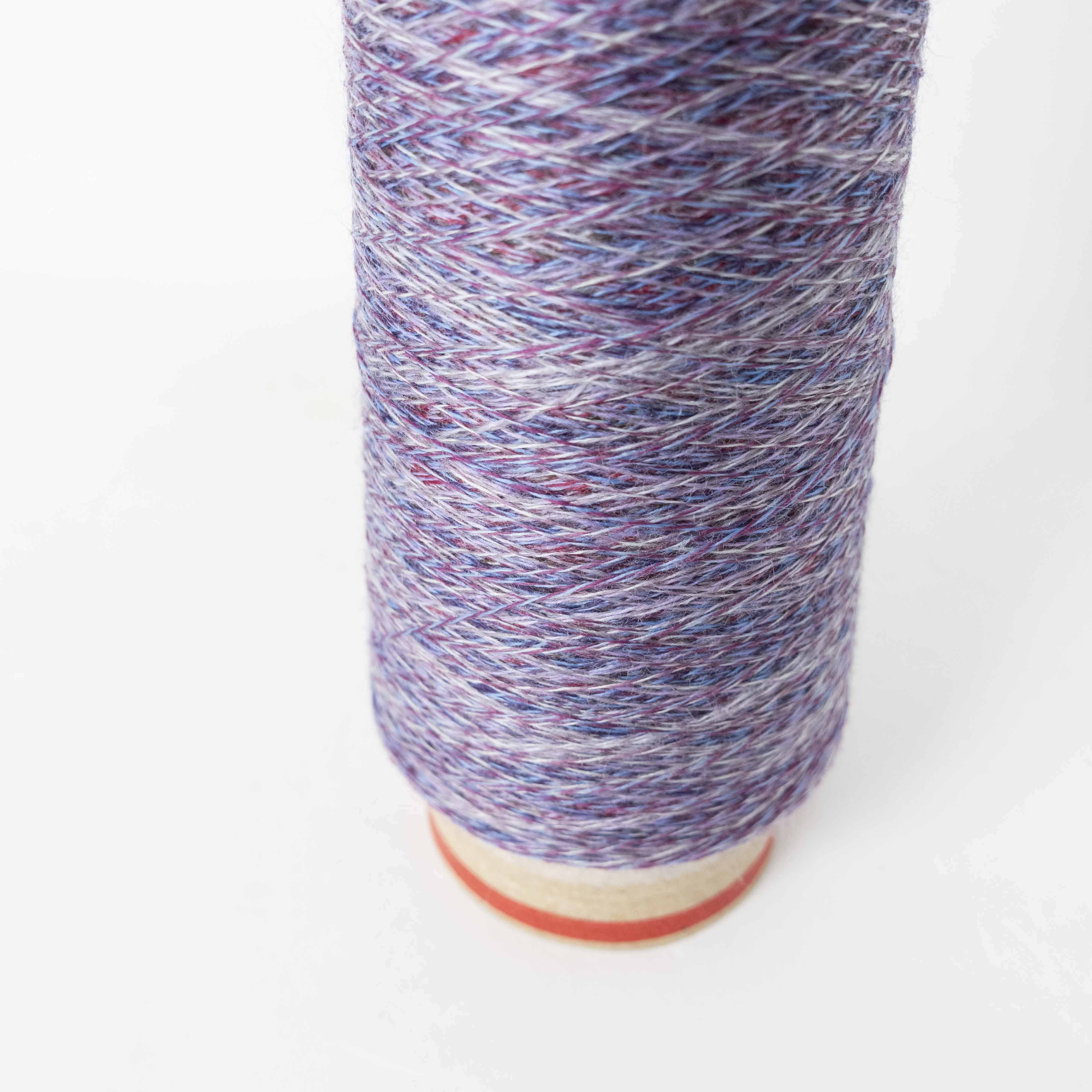 2/48 ネオンテトラ