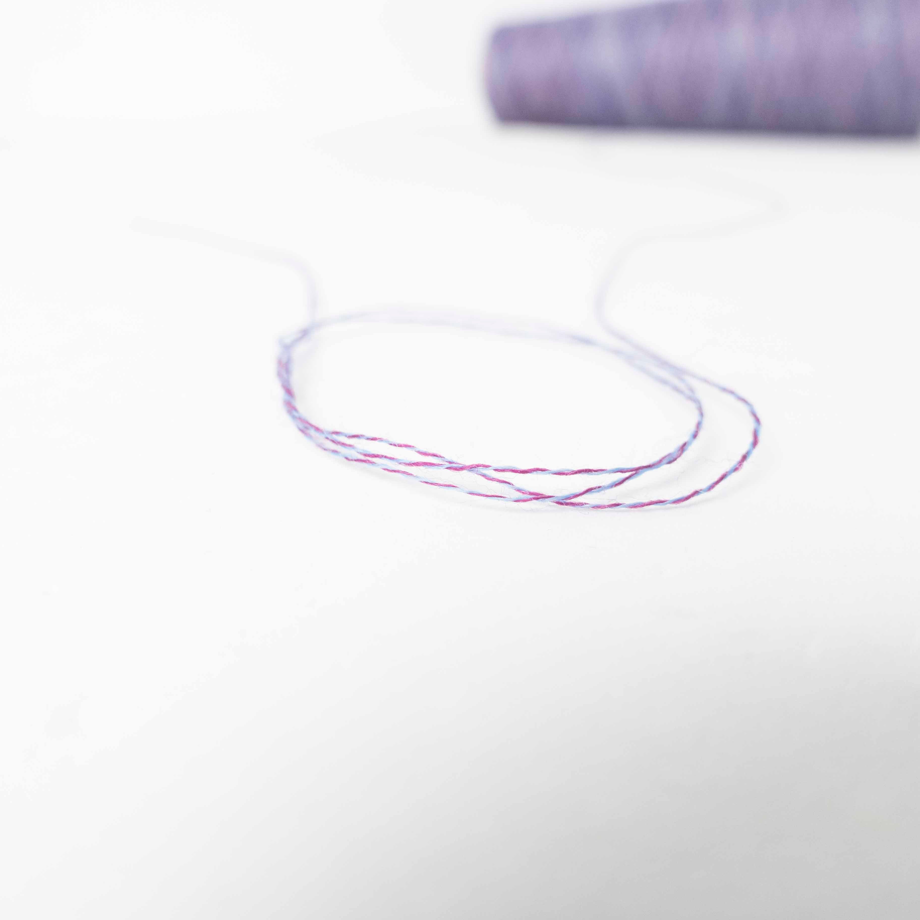 2/48 ネオンテトラ