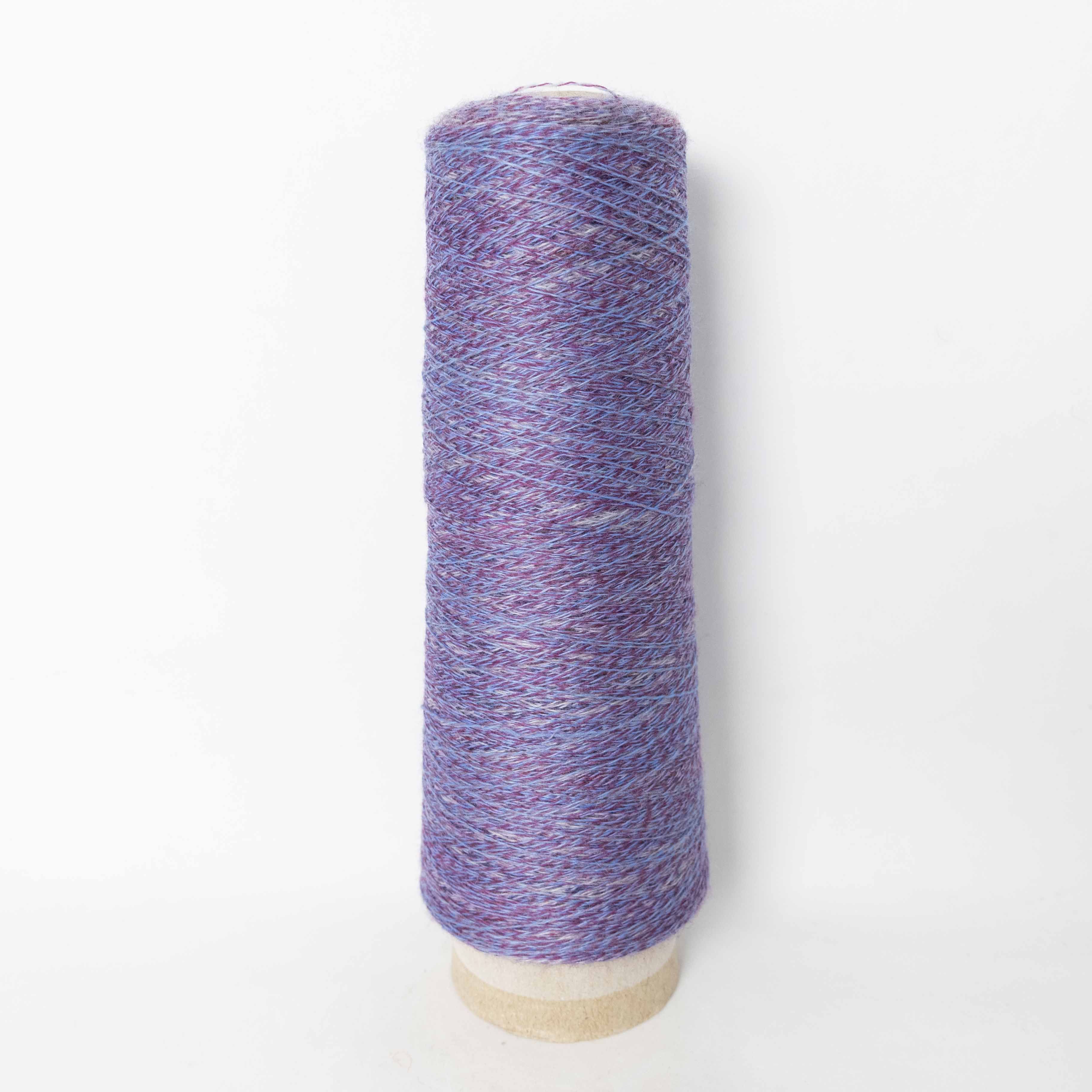 2/48 ネオンテトラ