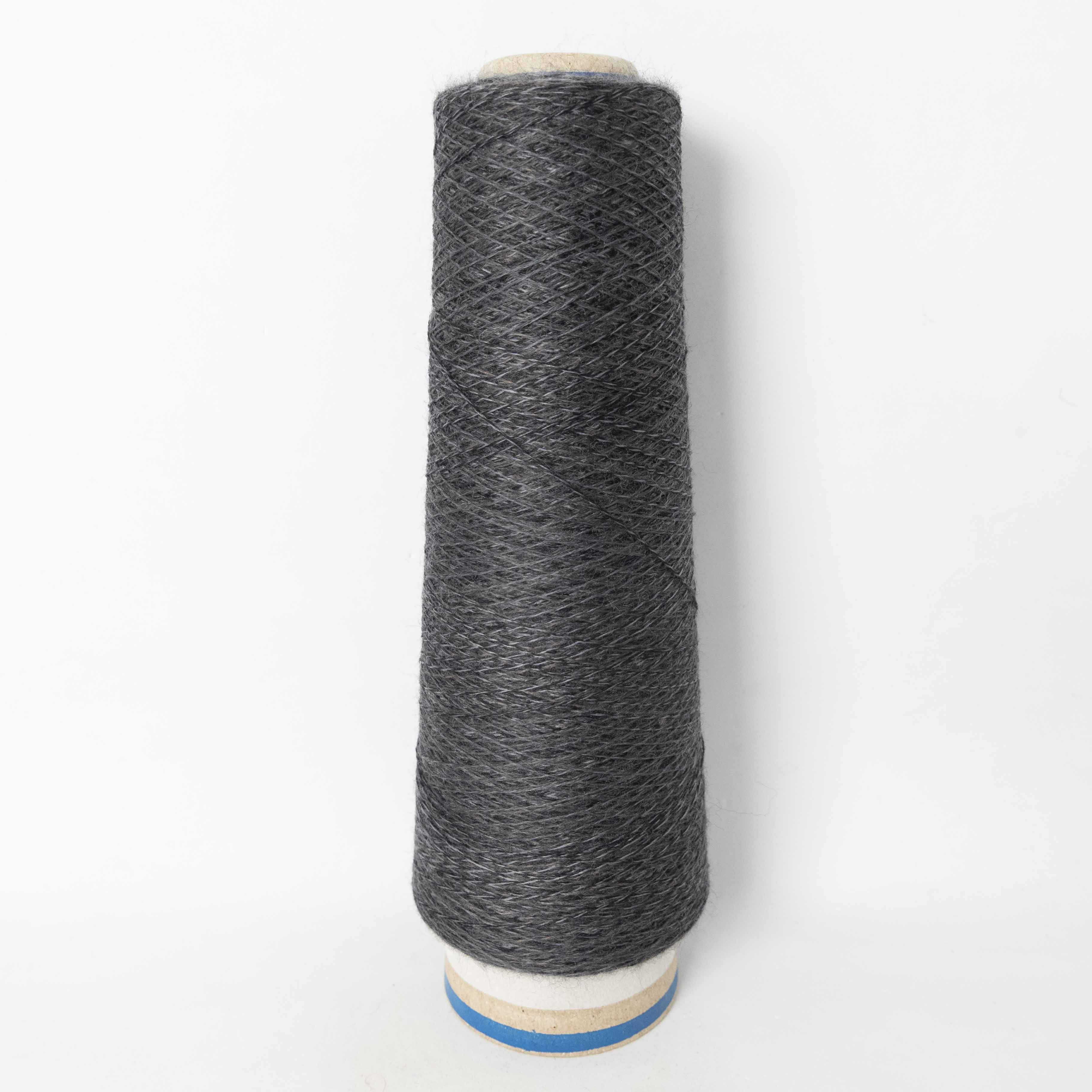 2/48 ネオンテトラ