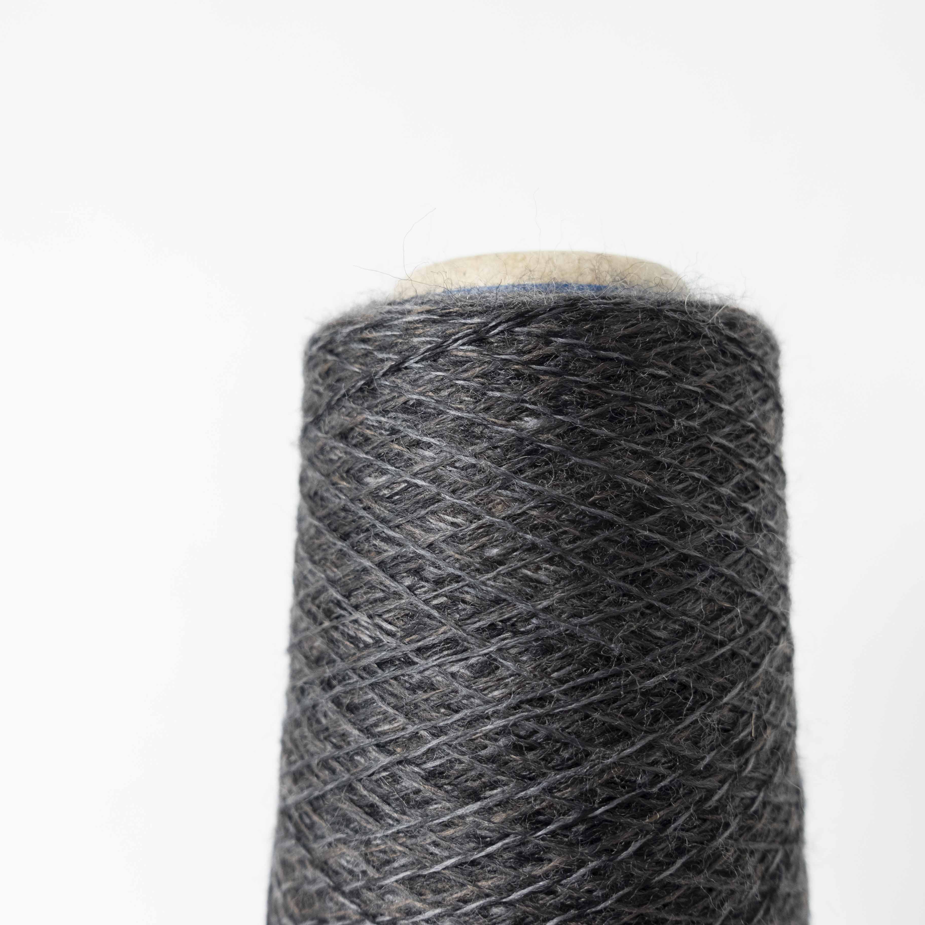 2/48 ネオンテトラ