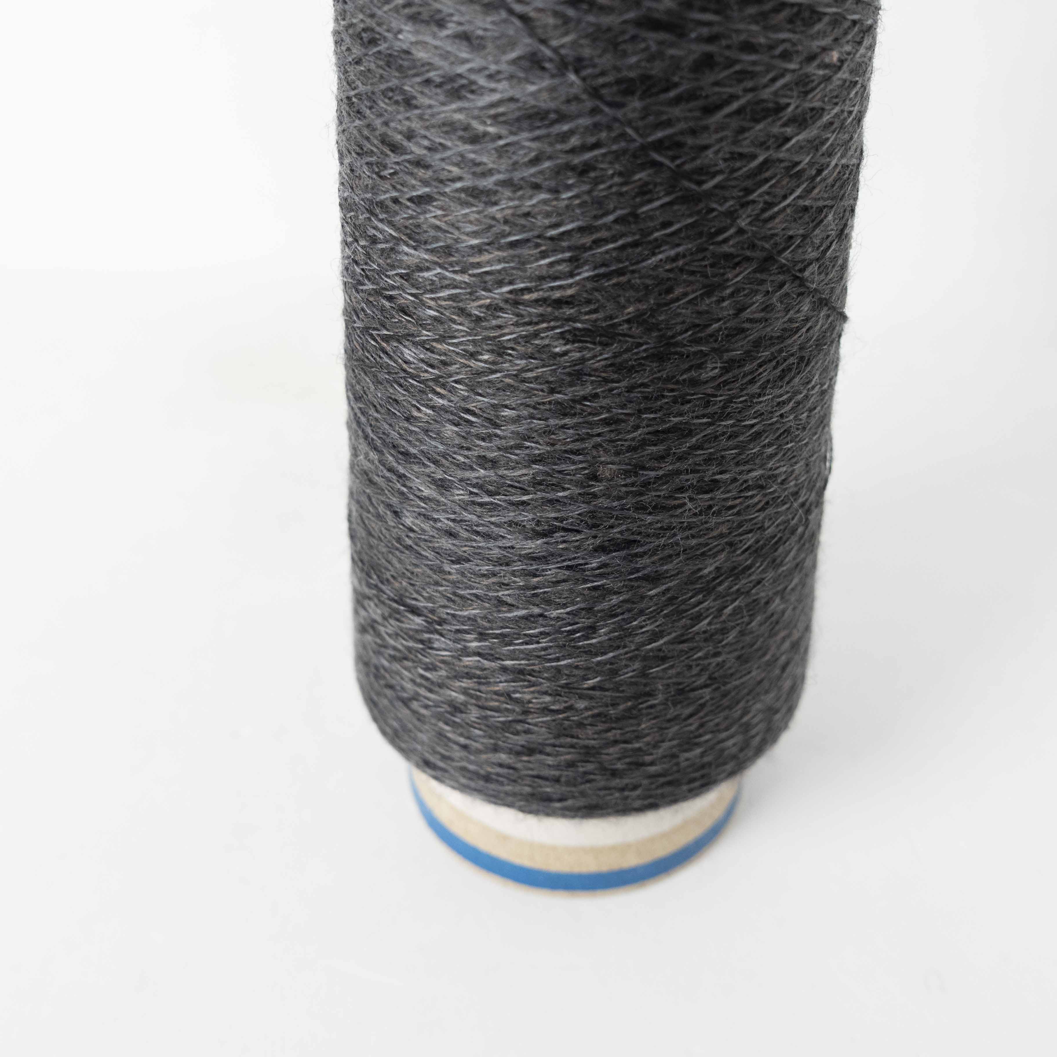 2/48 ネオンテトラ