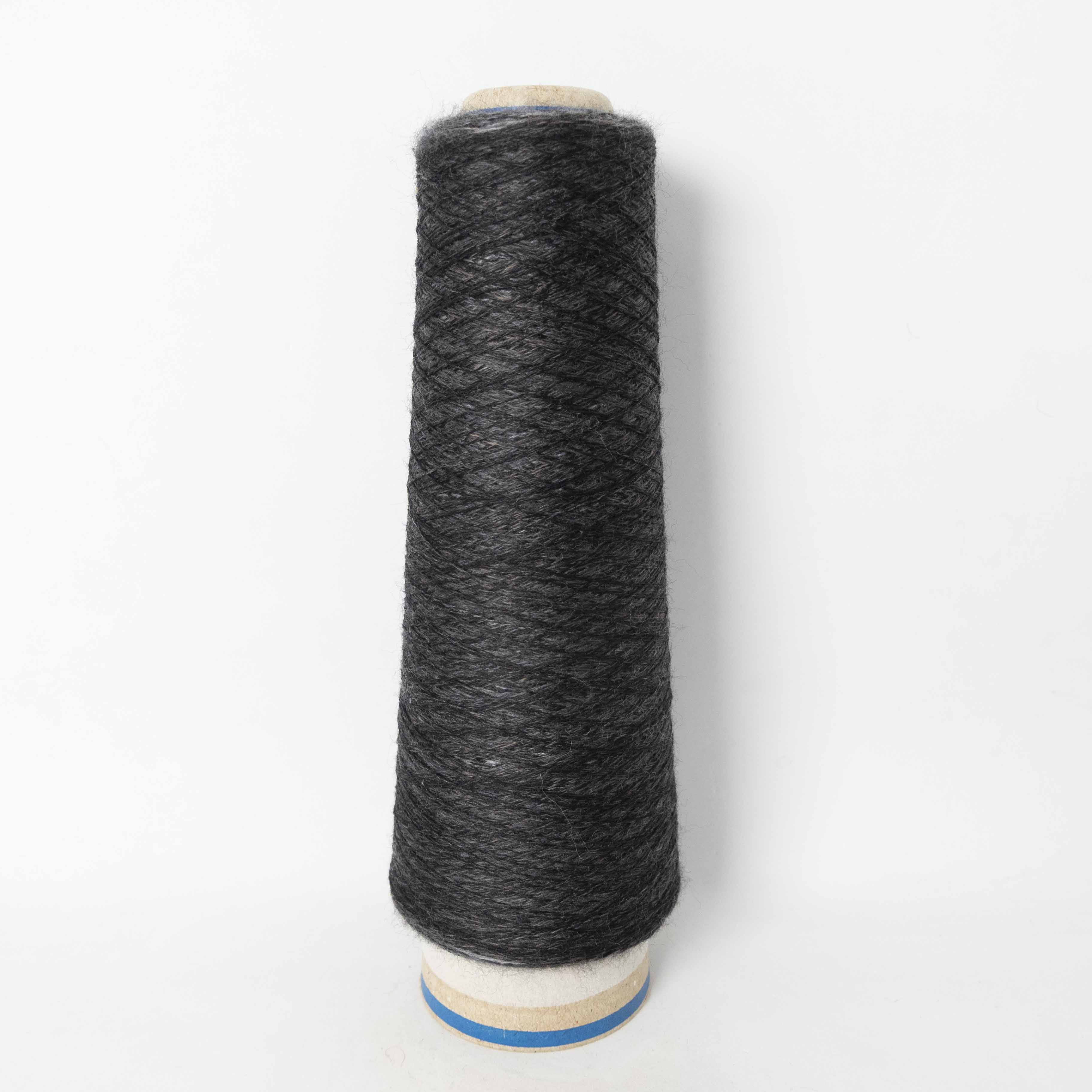 2/48 ネオンテトラ