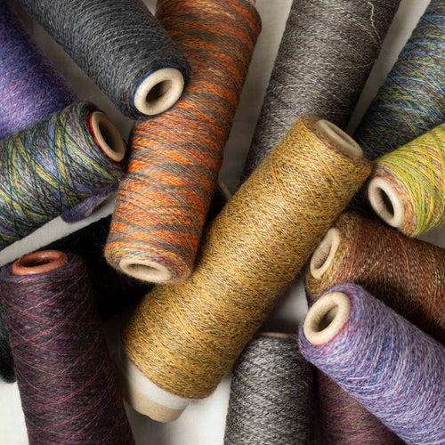 2/48 ネオンテトラ