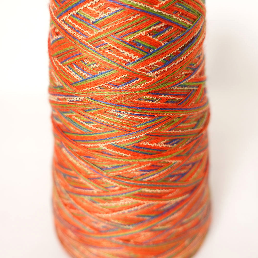 WOOL SOCK YARN W240621-2（ソックヤーン）