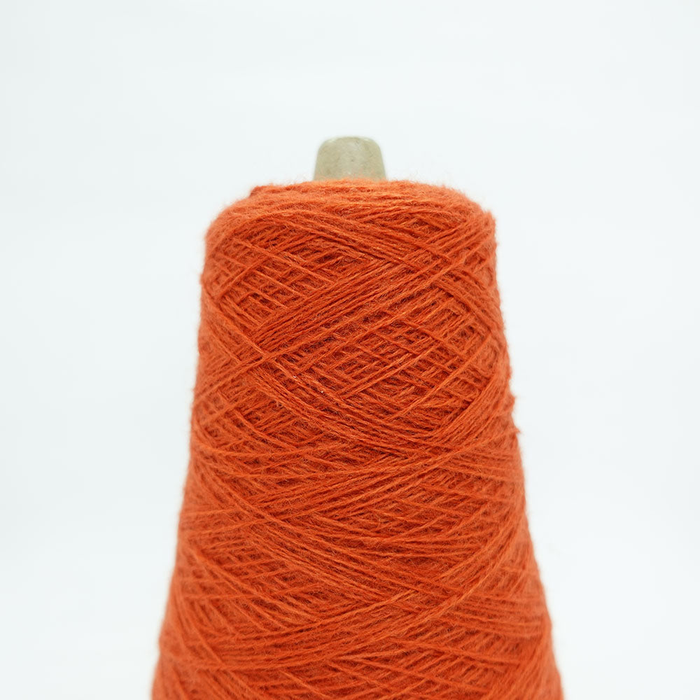 2/27 Bloom (acrylic wool) - apricot orange