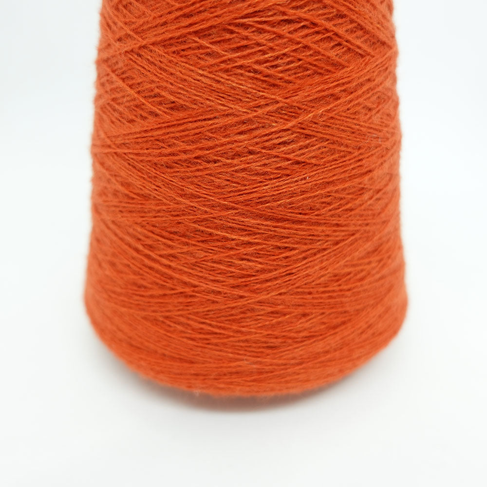 2/27 Bloom (acrylic wool) - apricot orange