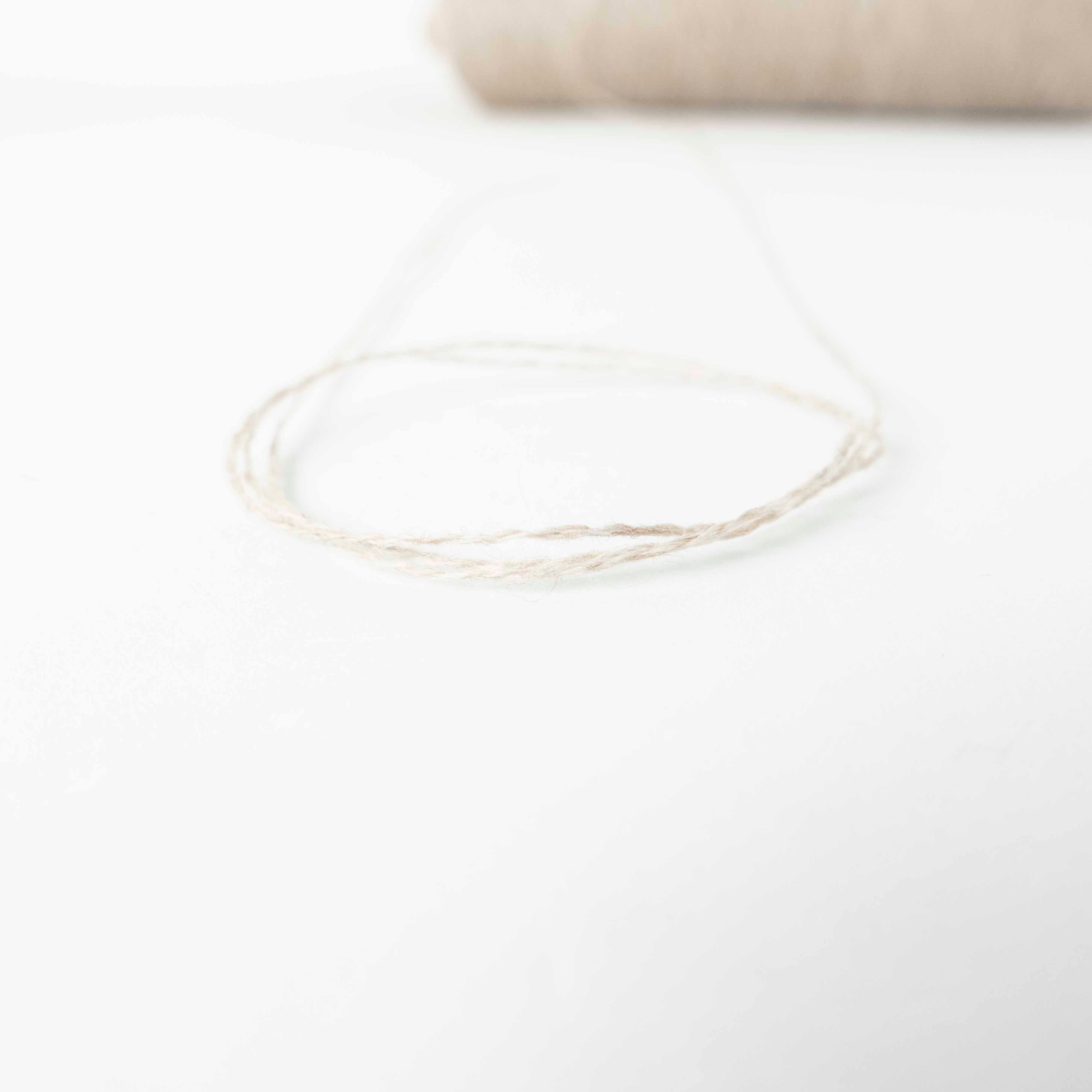 2/26 ウールラクーン