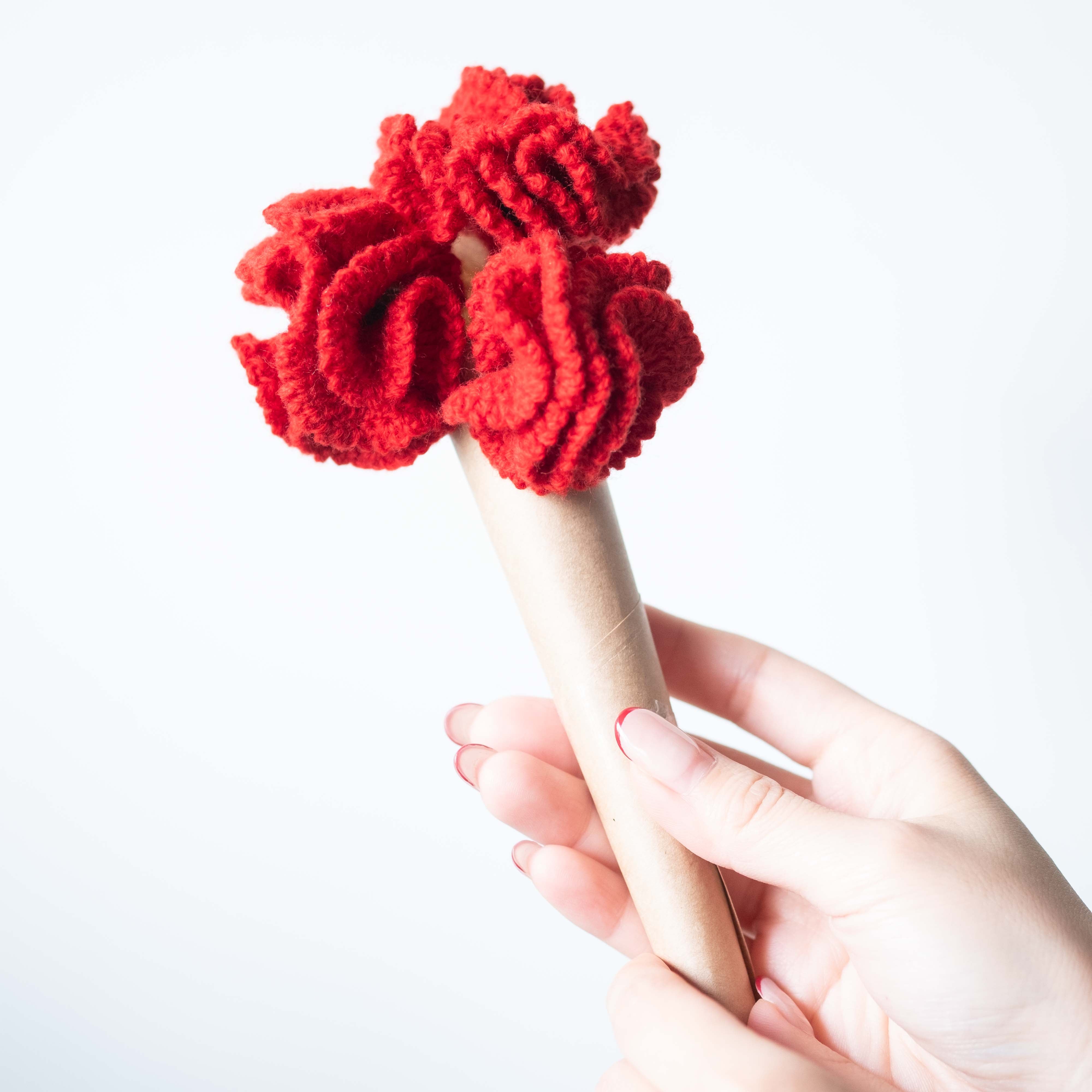 [Released April 30] Itoriko Carnation '26 Set (Mother's Day)