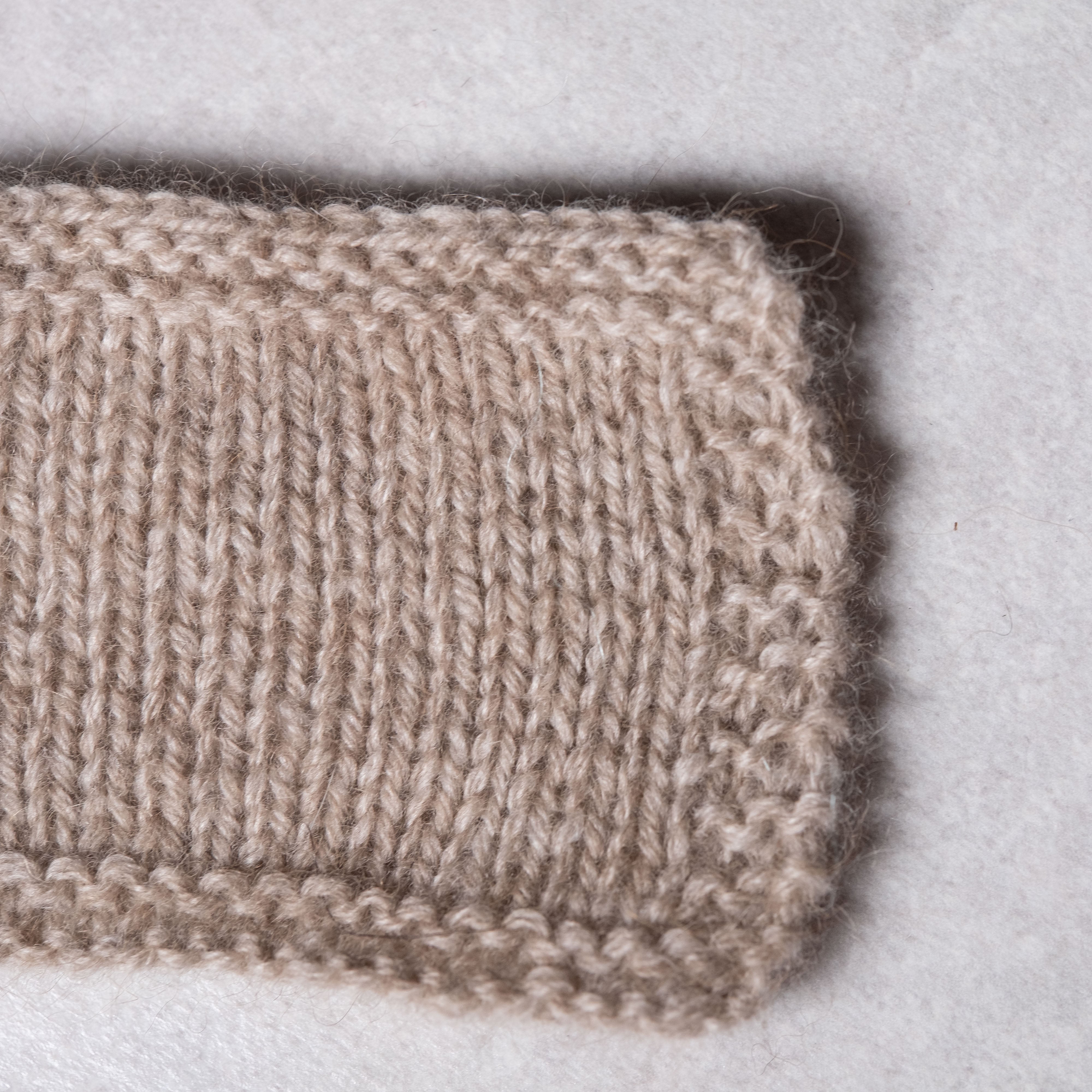 2/26 ウールラクーン